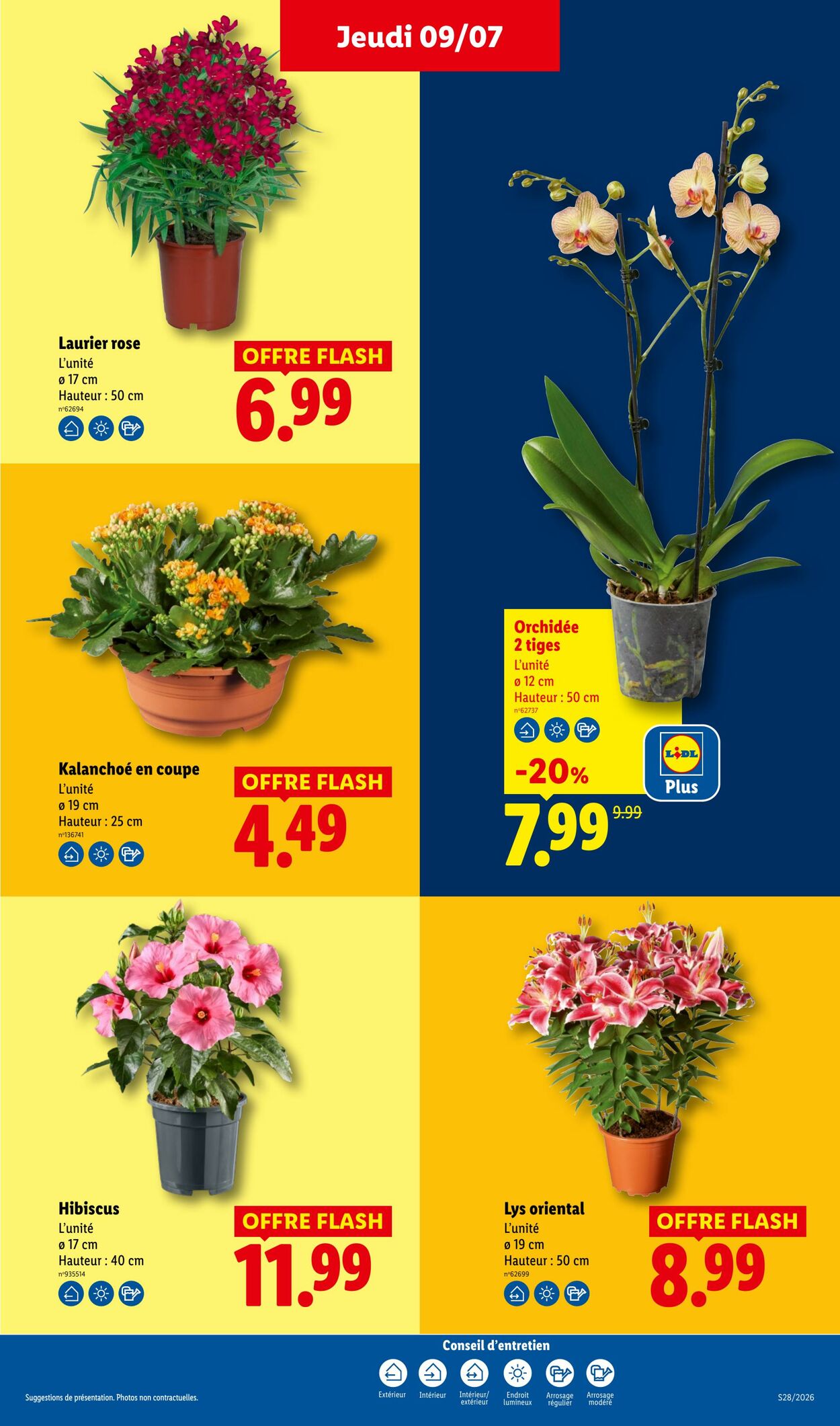Catalogue Lidl 05.07.2026 - 15.07.2026
