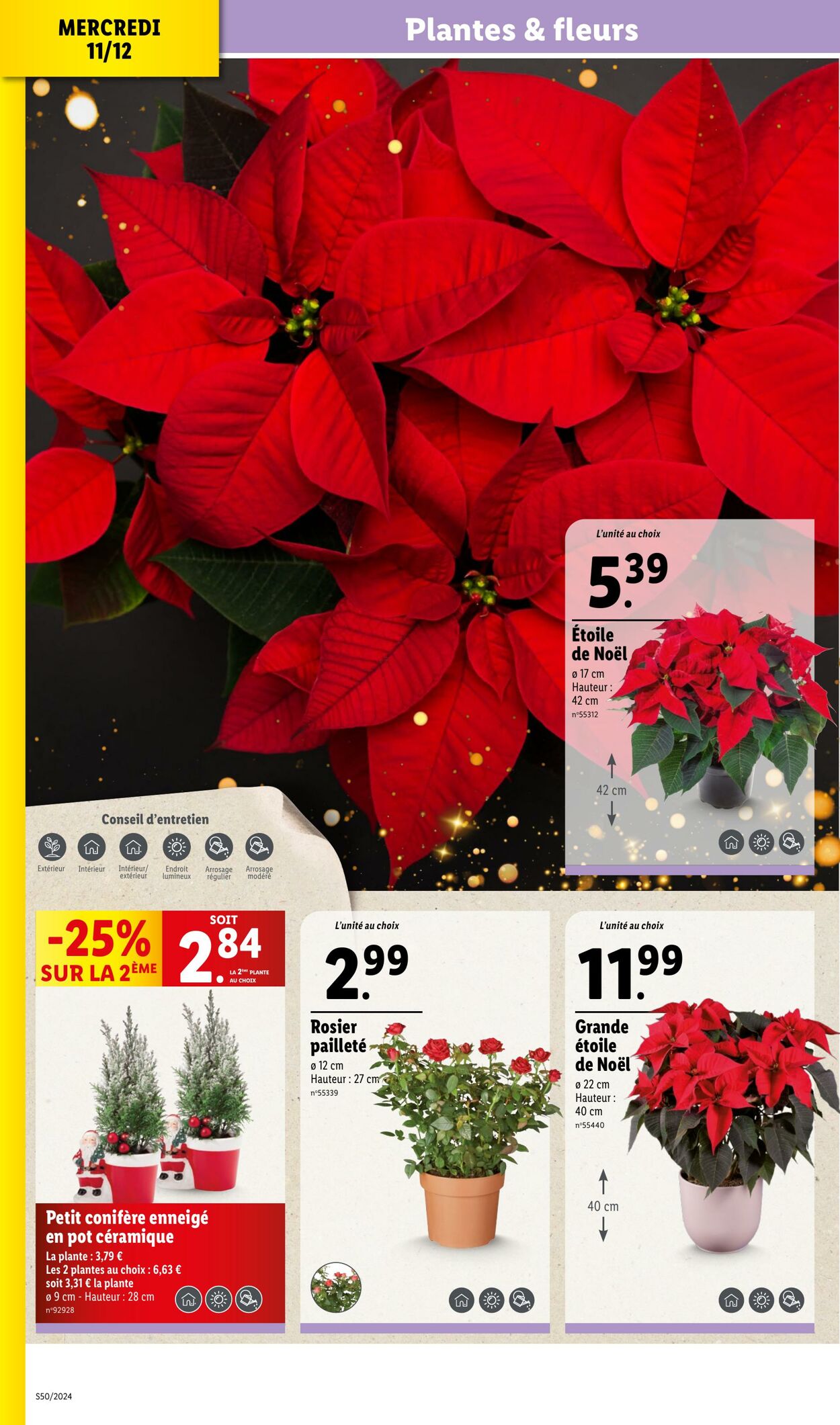 Catalogue Lidl 11.12.2024 - 17.12.2024