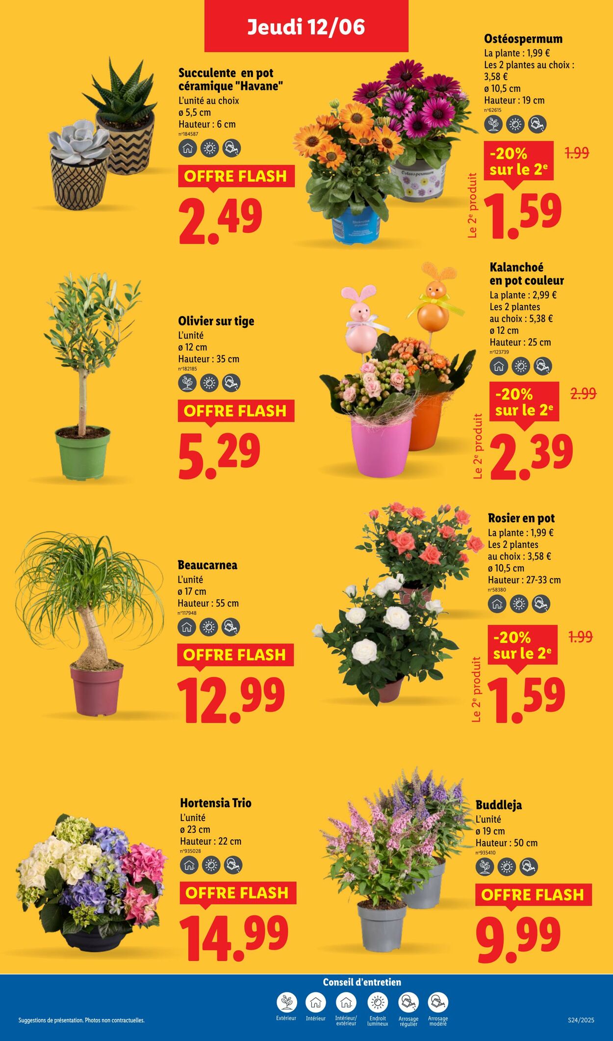 Catalogue Lidl 12.06.2025 - 18.06.2025