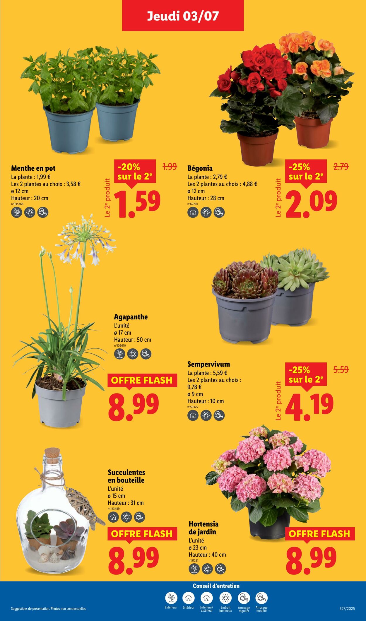 Catalogue Lidl 03.07.2025 - 09.07.2025