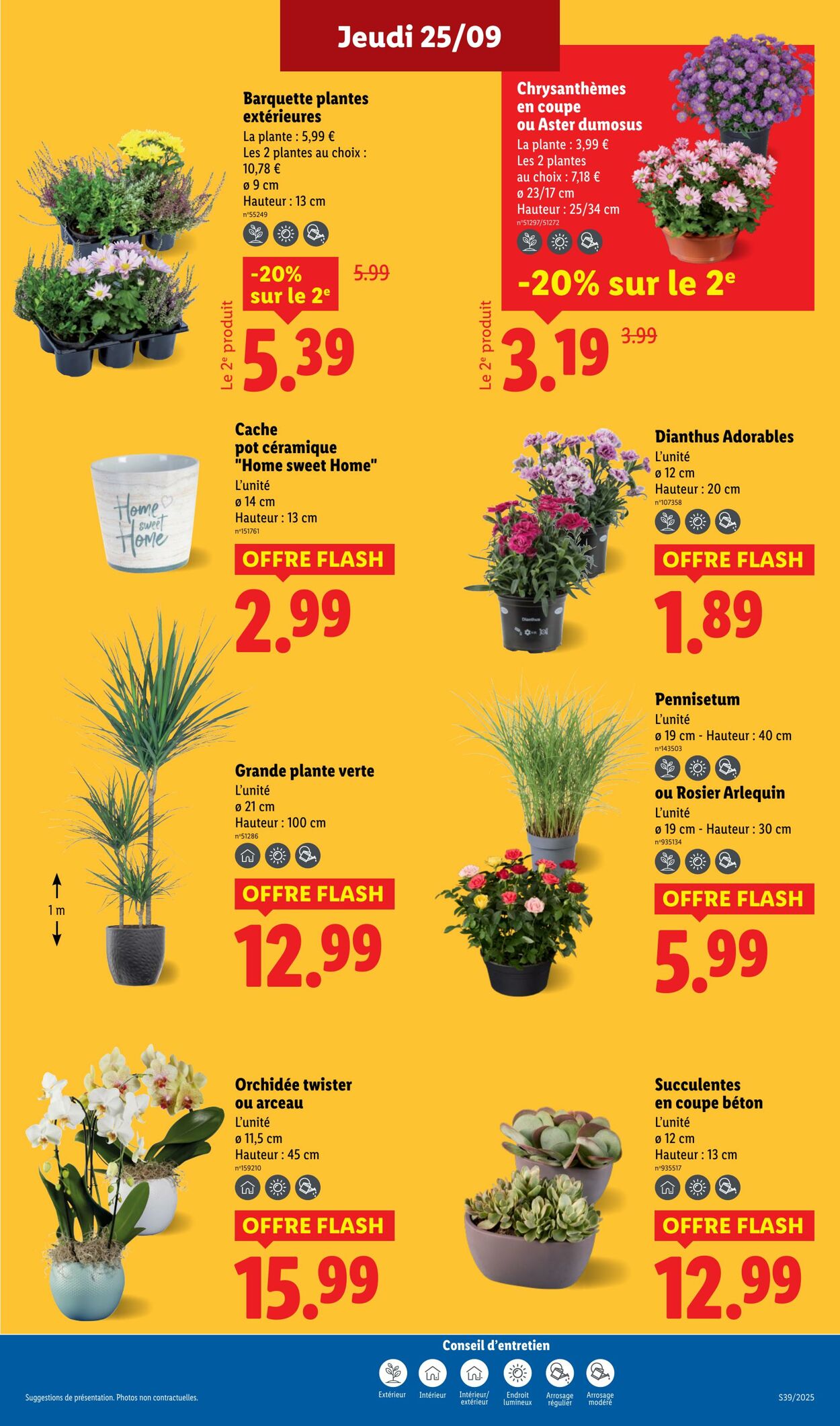Catalogue Lidl 25.09.2025 - 01.10.2025