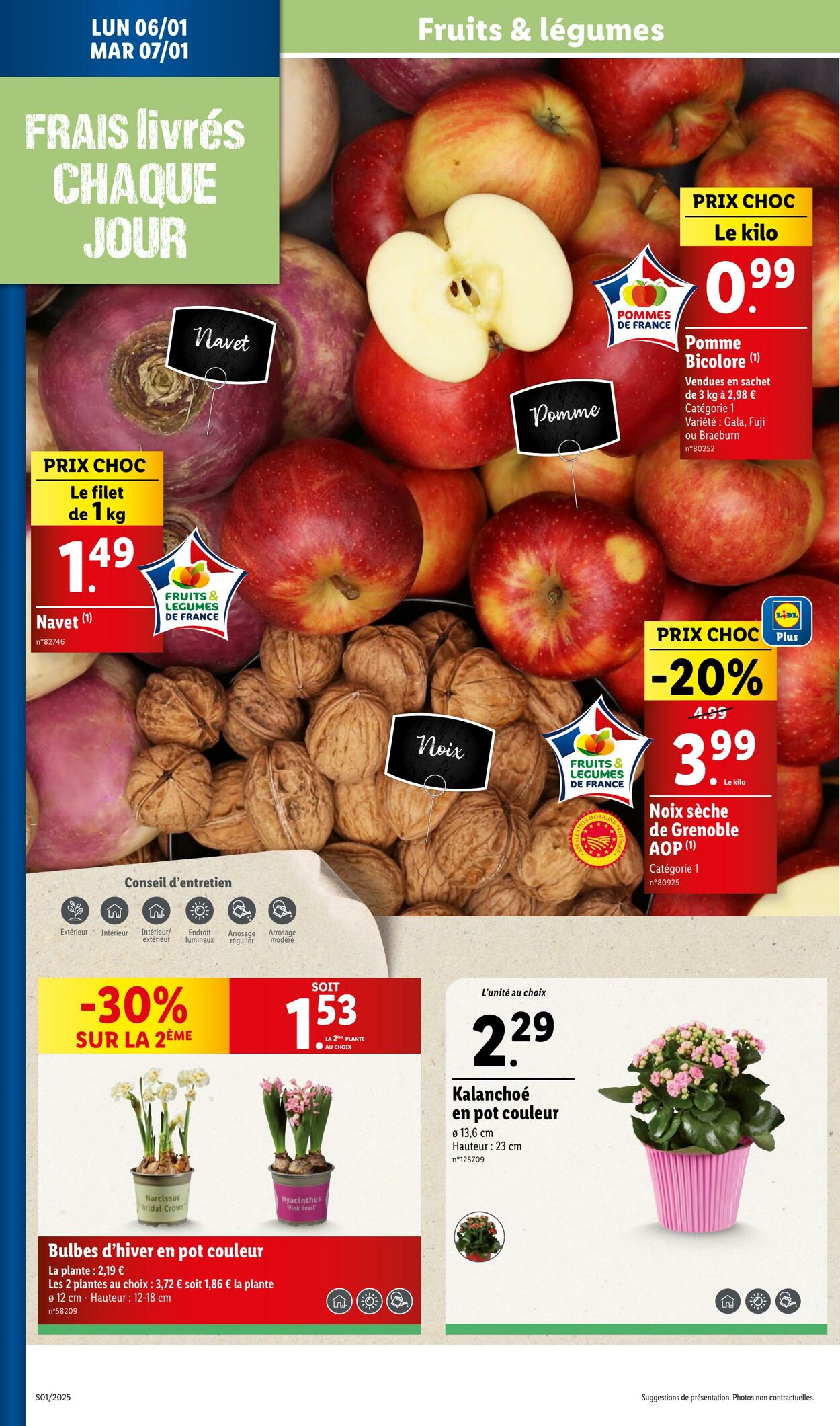 Catalogue Lidl 02.01.2025 - 07.01.2025