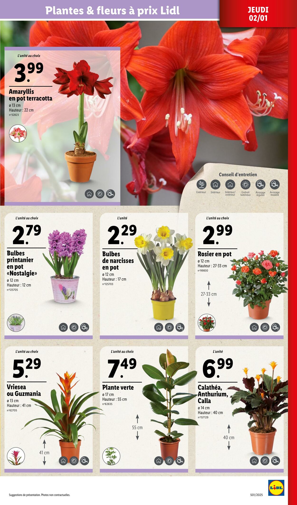 Catalogue Lidl 02.01.2025 - 07.01.2025