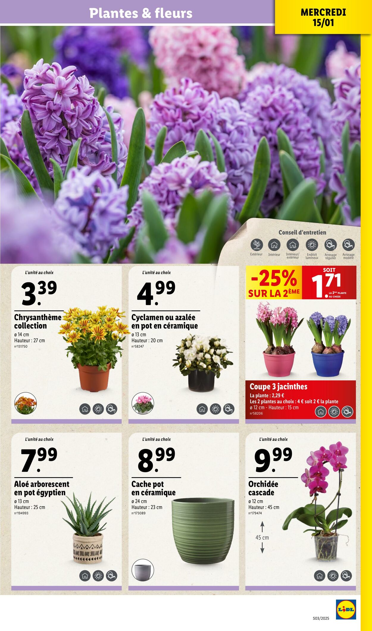 Catalogue Lidl 15.01.2025 - 21.01.2025