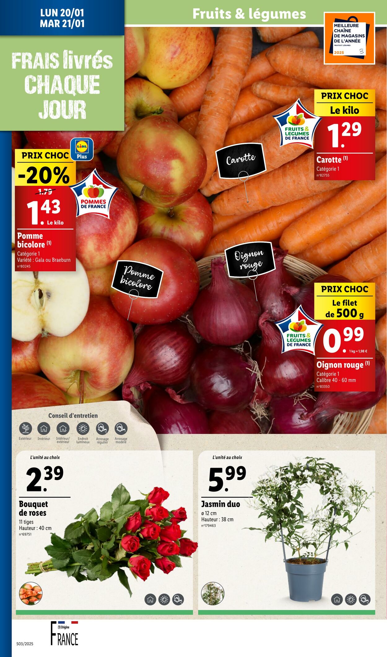 Catalogue Lidl 15.01.2025 - 21.01.2025