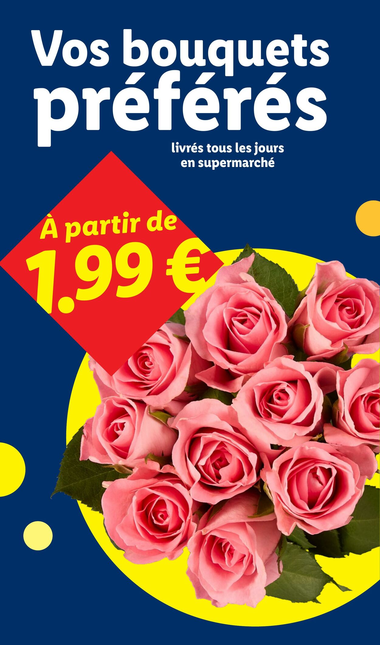 Catalogue Lidl 08.03.2026 - 18.03.2026