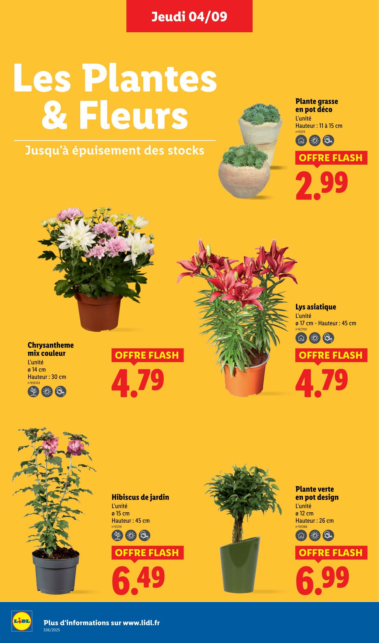 Catalogue Lidl 04.09.2025 - 10.09.2025