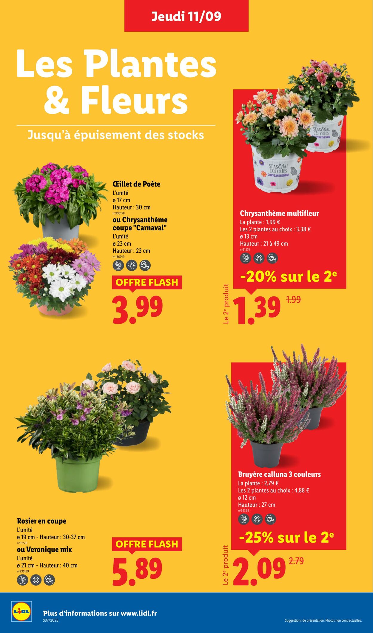 Catalogue Lidl 11.09.2025 - 17.09.2025
