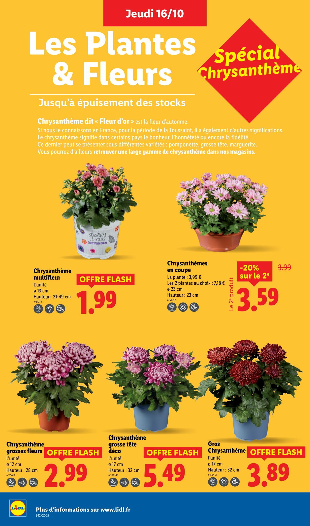 Catalogue Lidl 16.10.2025 - 22.10.2025