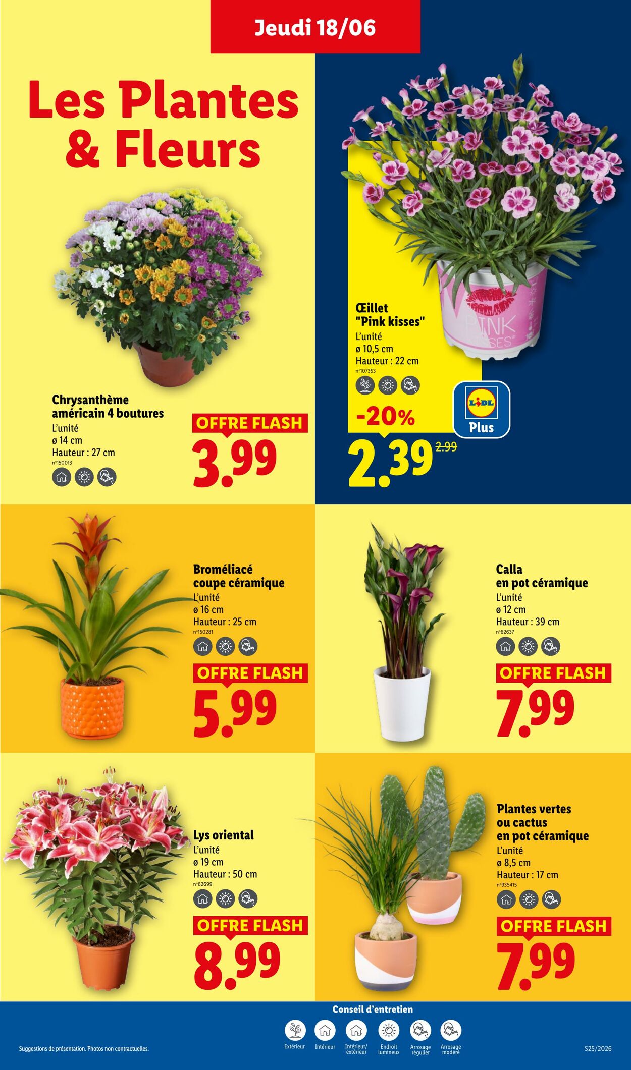 Catalogue Lidl 14.06.2026 - 24.06.2026