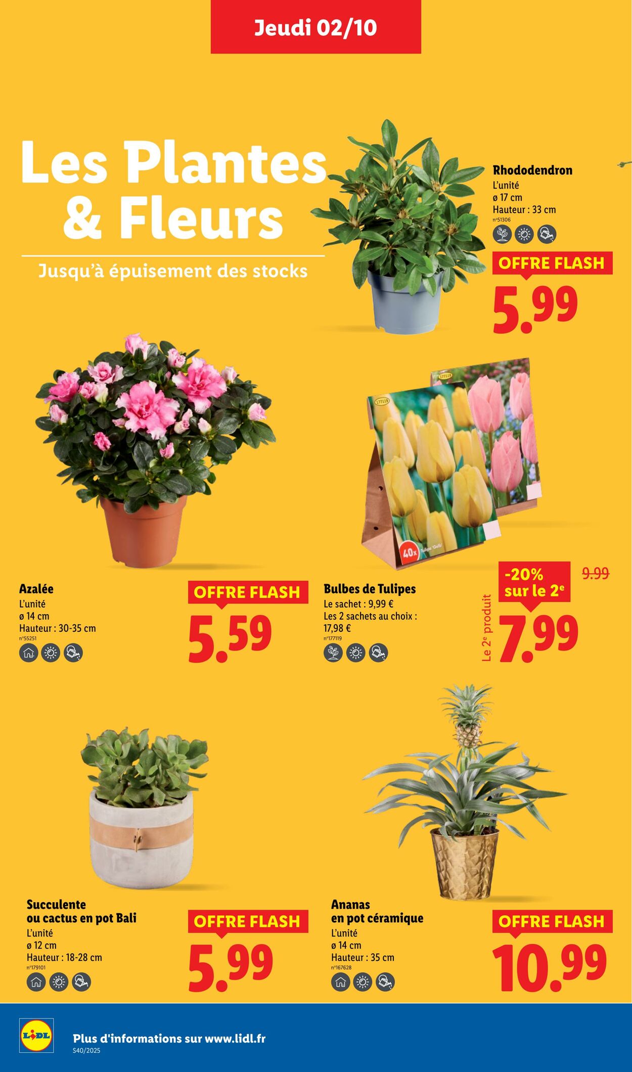 Catalogue Lidl 02.10.2025 - 08.10.2025