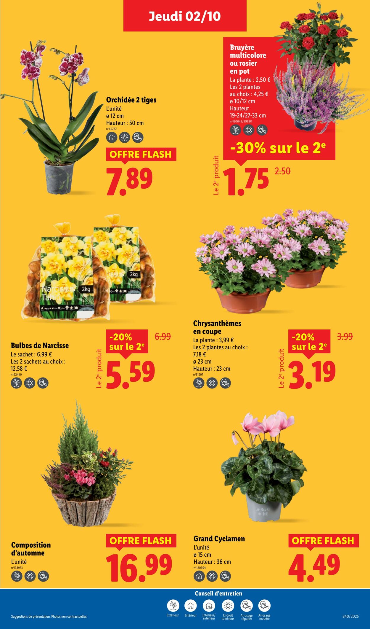 Catalogue Lidl 02.10.2025 - 08.10.2025