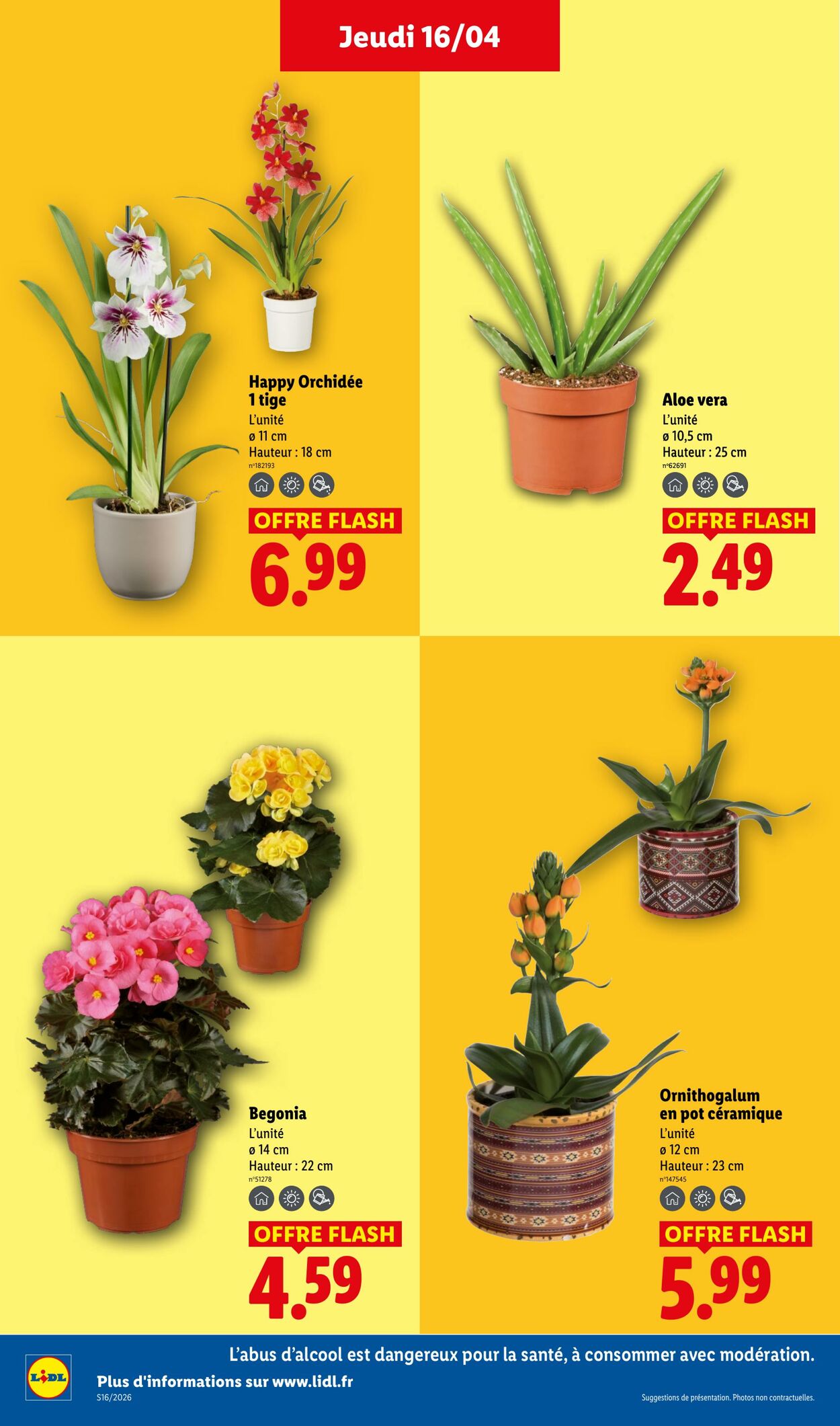 Catalogue Lidl 12.04.2026 - 22.04.2026