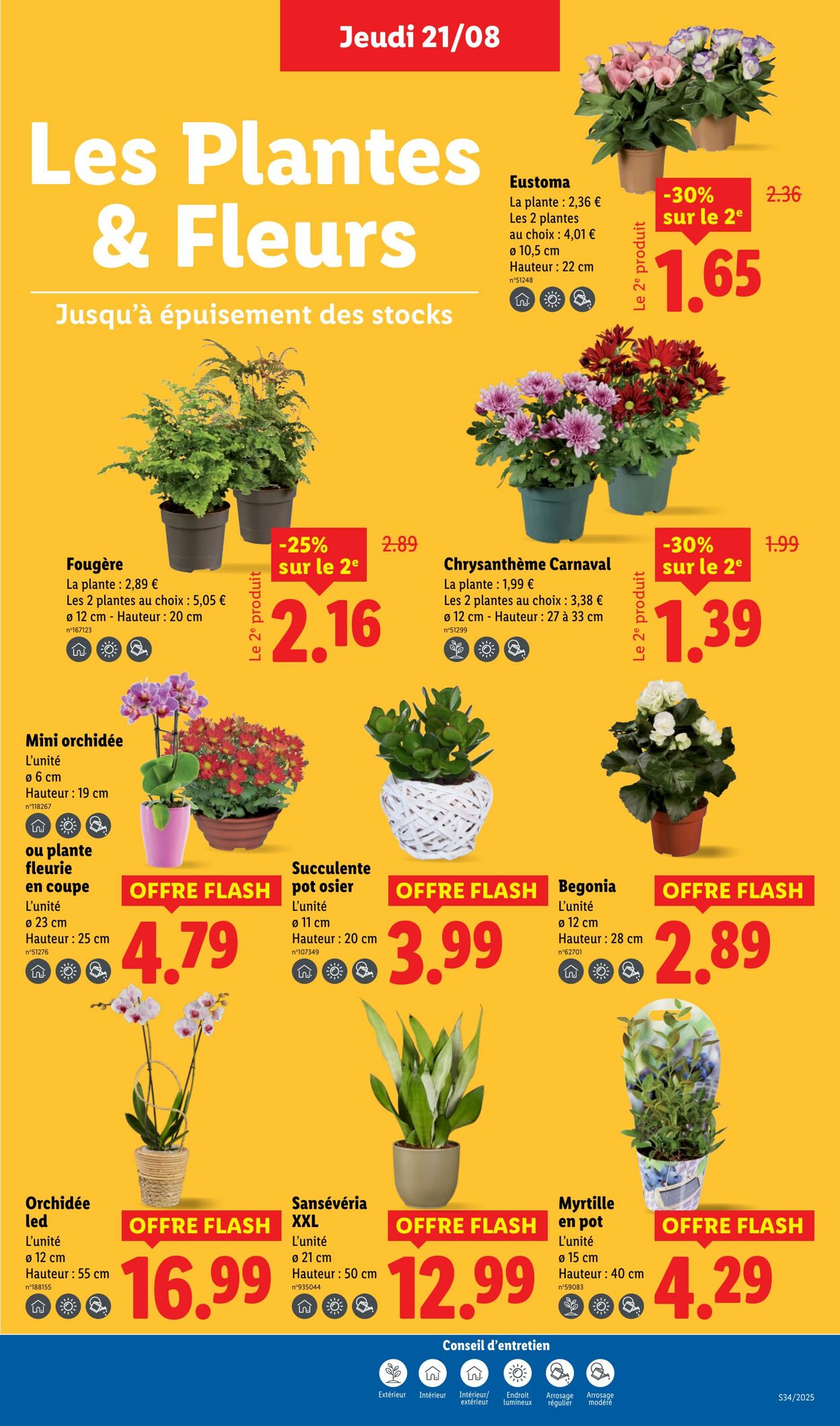 Catalogue Lidl 21.08.2025 - 27.08.2025