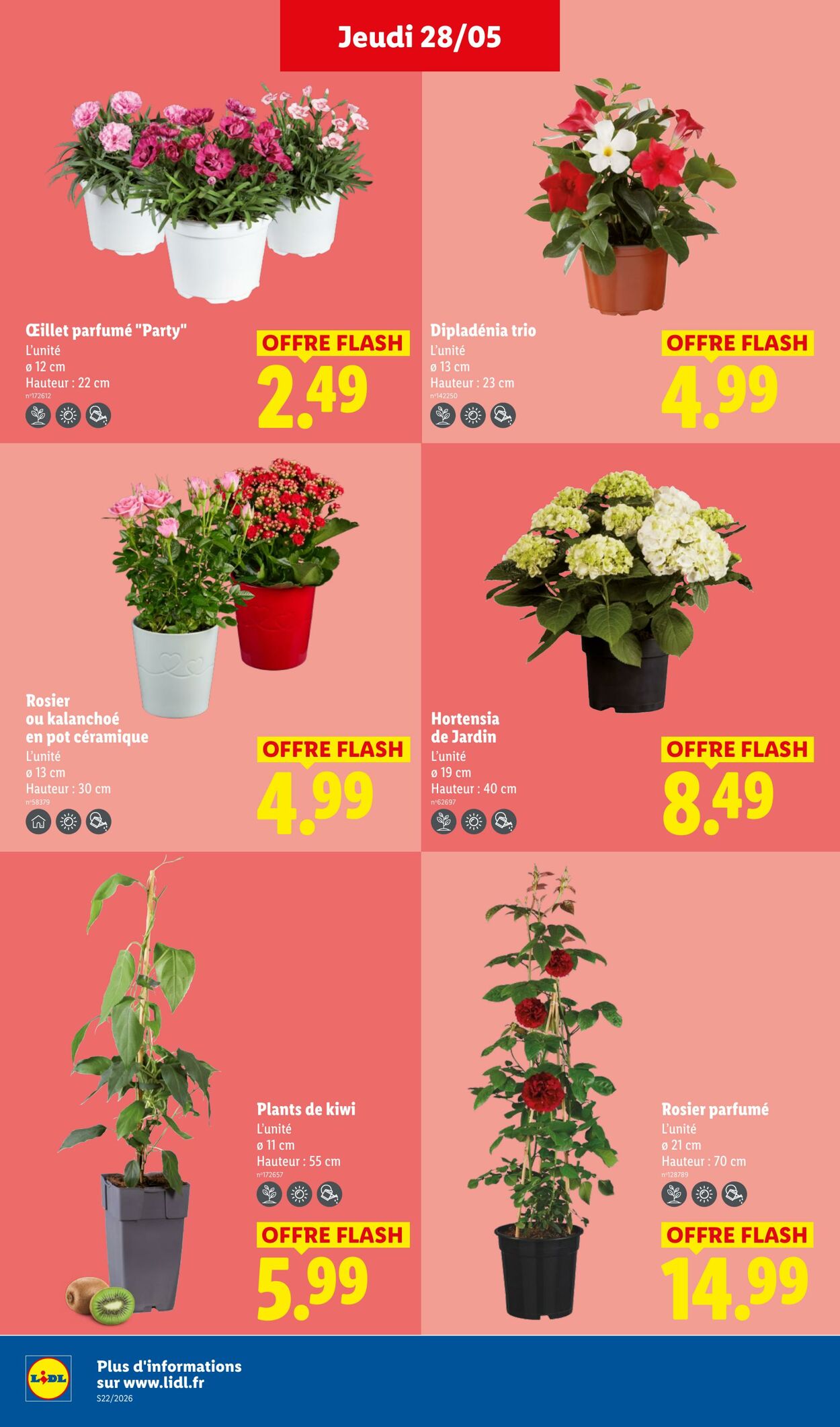 Catalogue Lidl 24.05.2026 - 03.06.2026