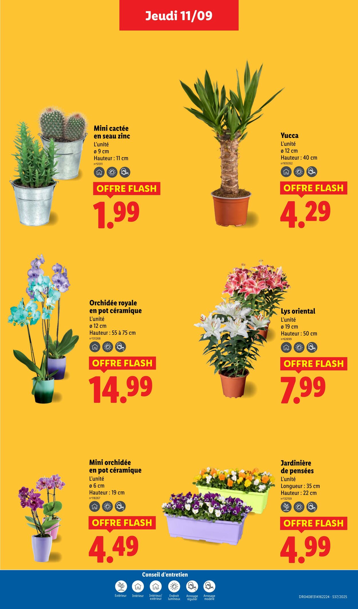 Catalogue Lidl 11.09.2025 - 17.09.2025