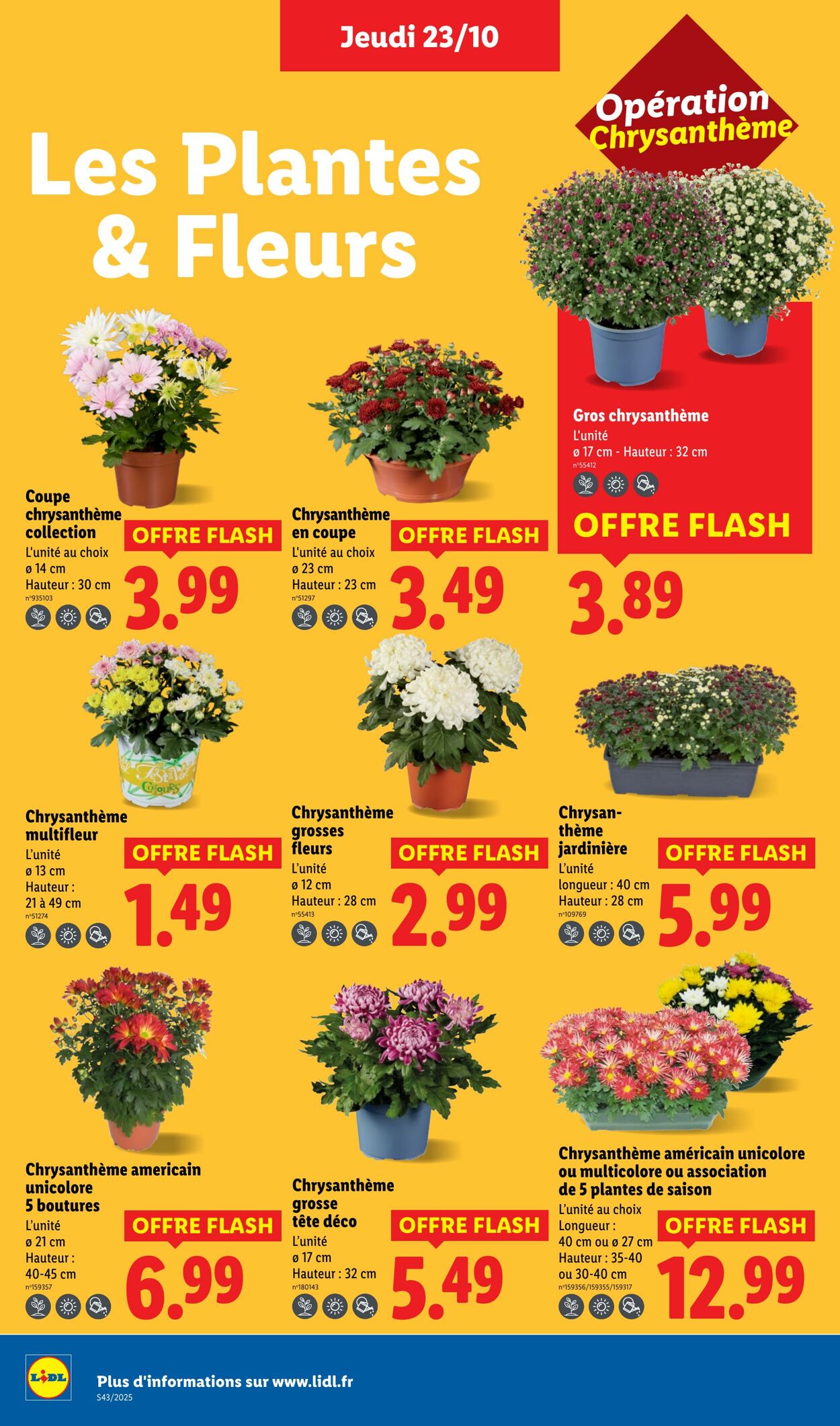 Catalogue Lidl 23.10.2025 - 29.10.2025
