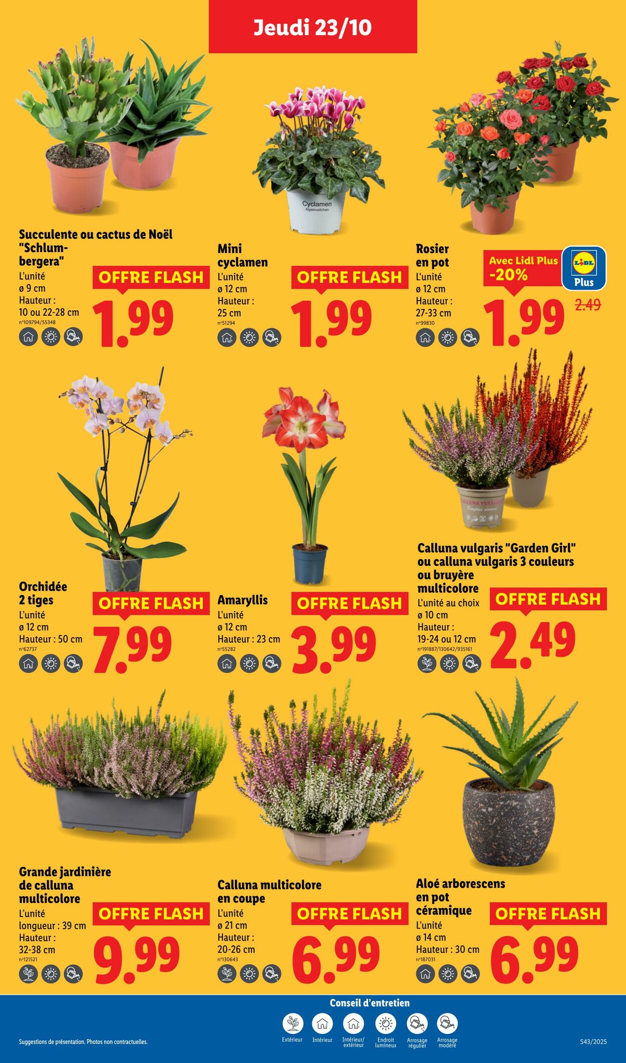 Catalogue Lidl 23.10.2025 - 29.10.2025