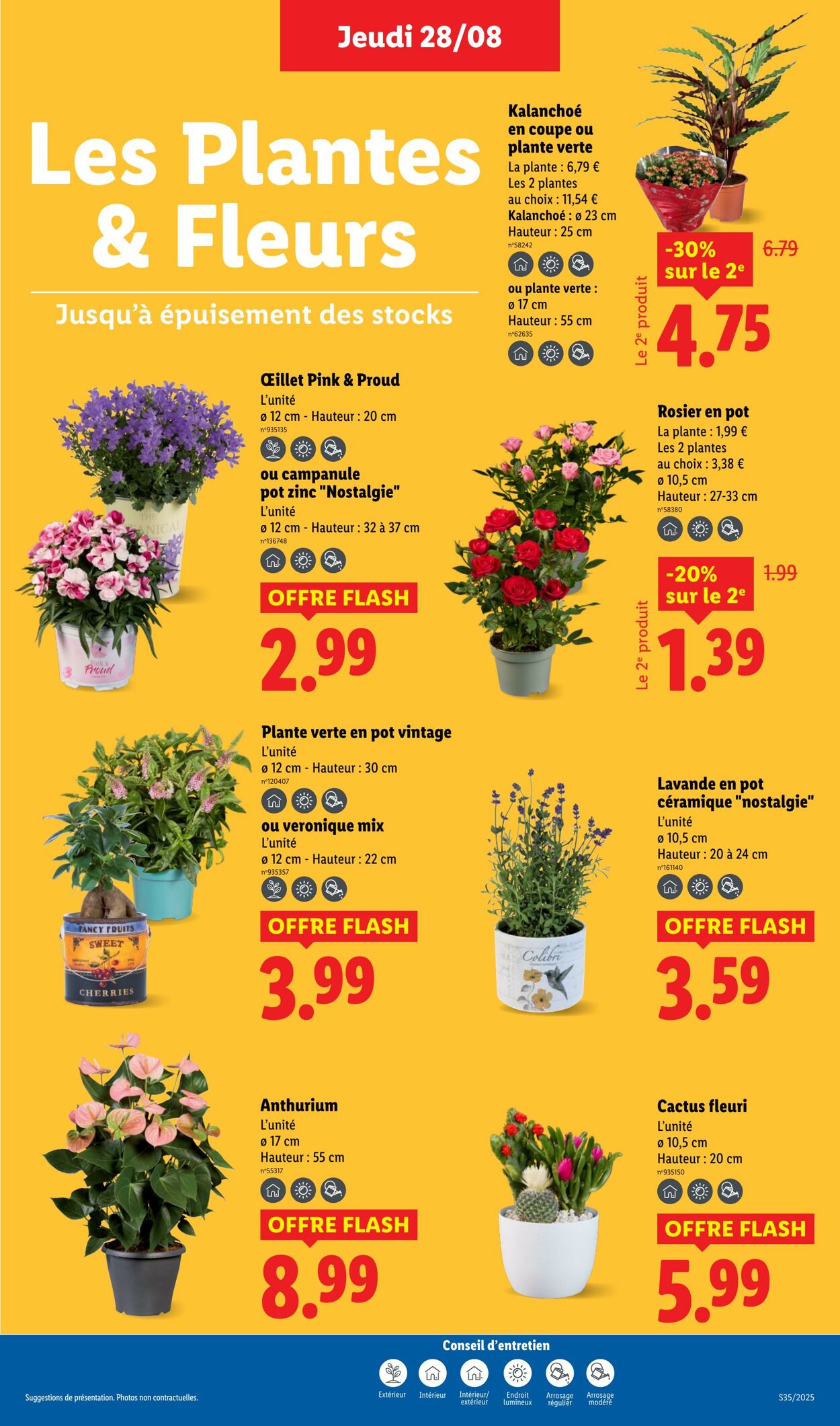 Catalogue Lidl 28.08.2025 - 03.09.2025