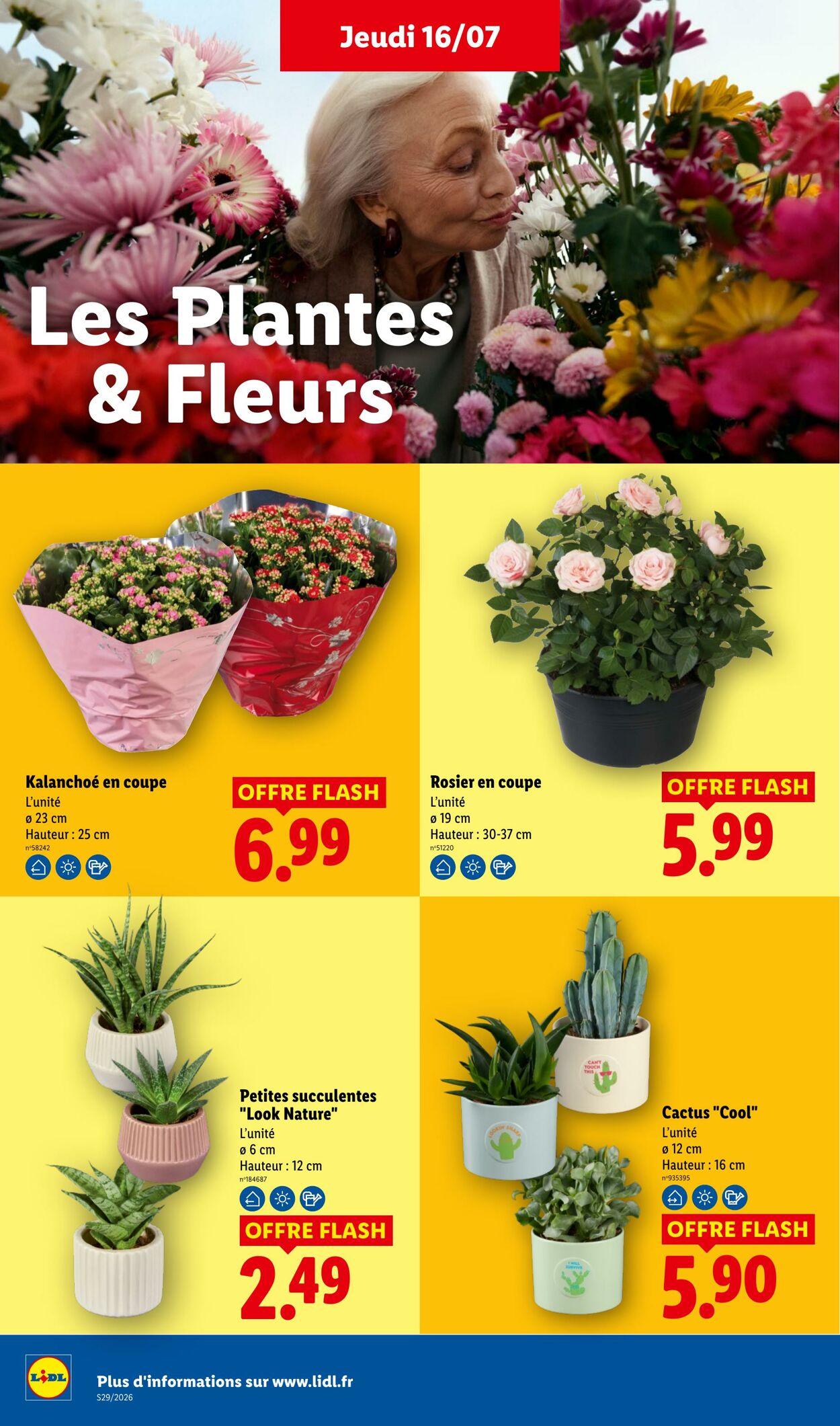 Catalogue Lidl 12.07.2026 - 22.07.2026