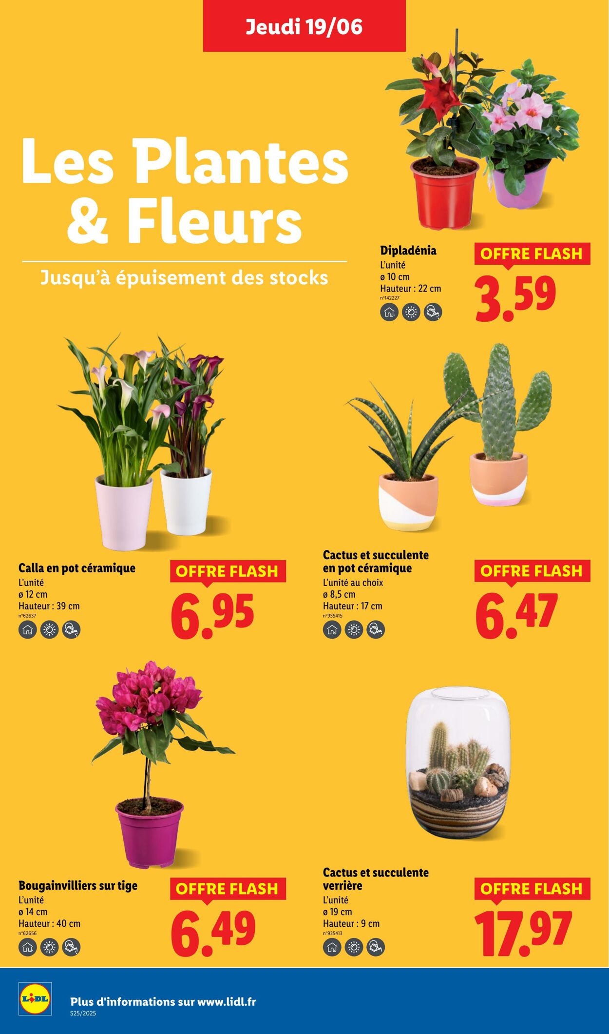 Catalogue Lidl 19.06.2025 - 25.06.2025