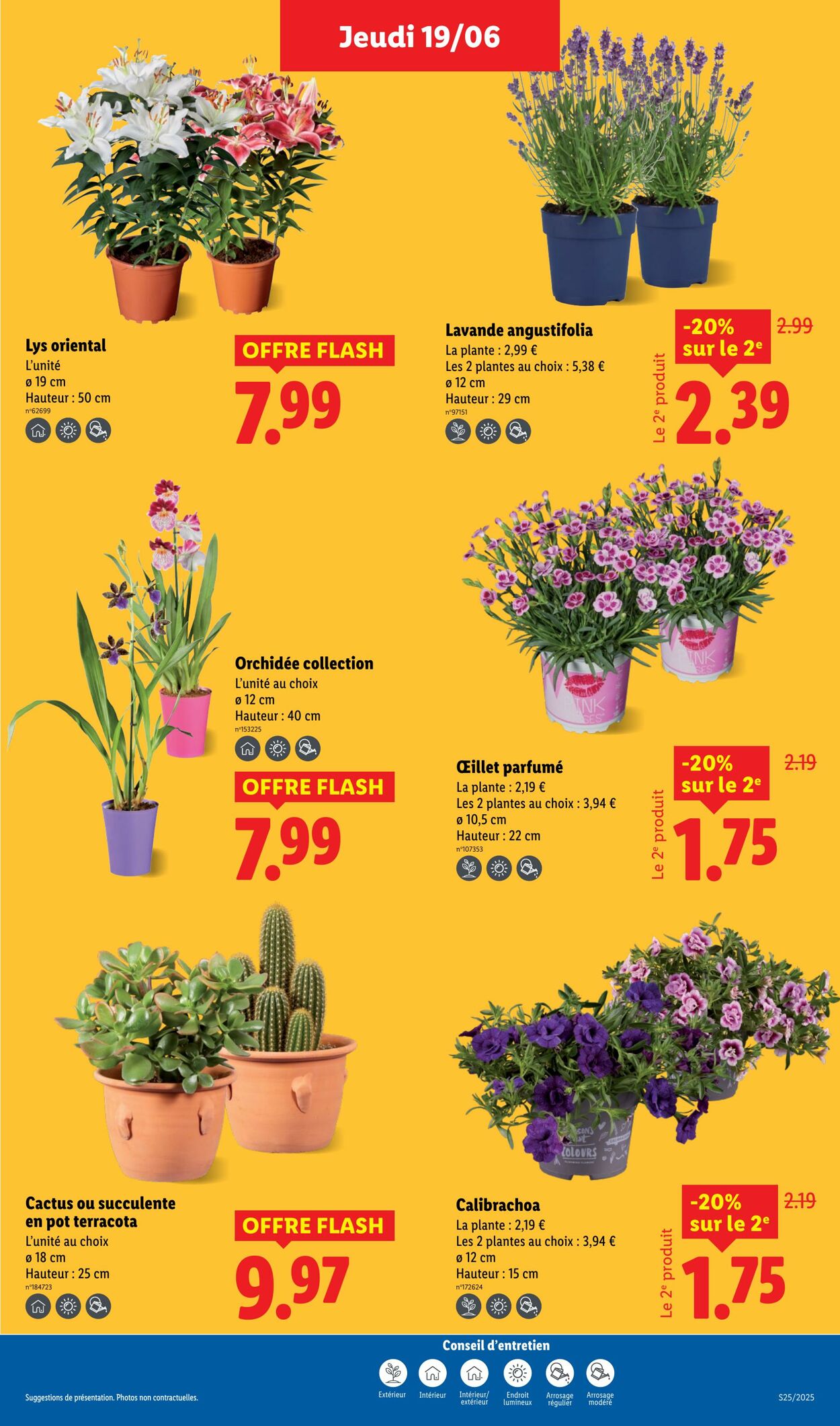 Catalogue Lidl 19.06.2025 - 25.06.2025