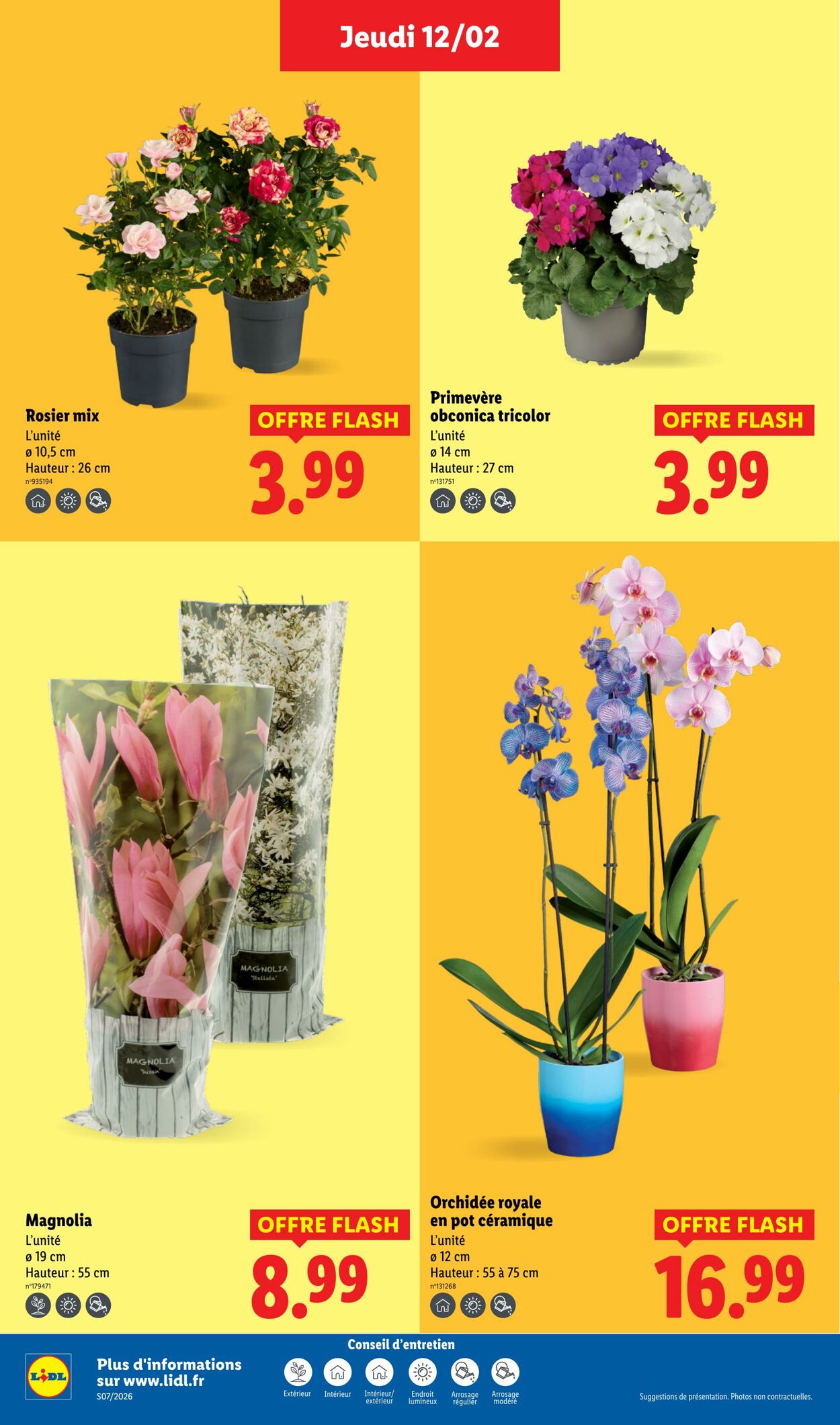 Catalogue Lidl 08.02.2026 - 18.02.2026
