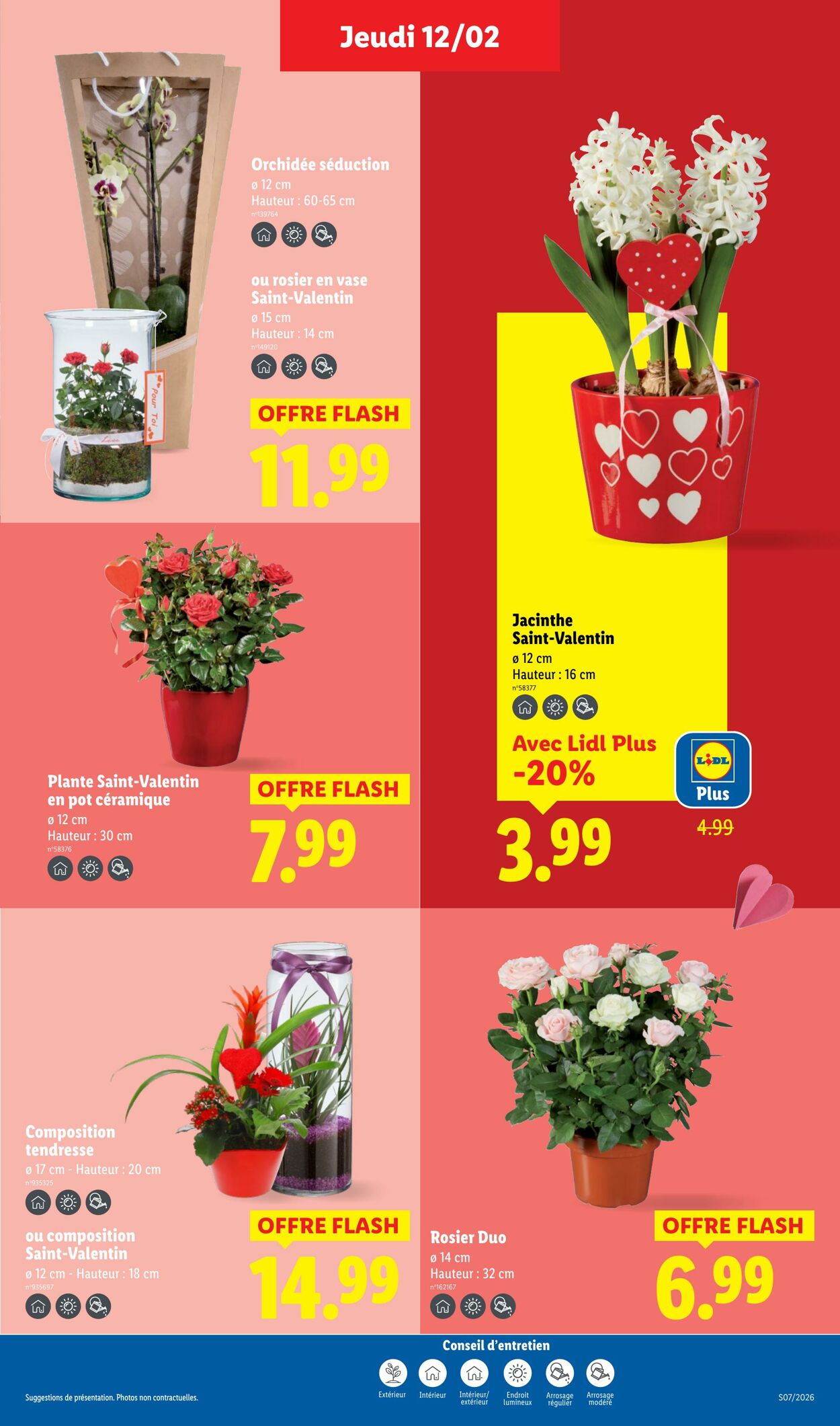 Catalogue Lidl 08.02.2026 - 18.02.2026
