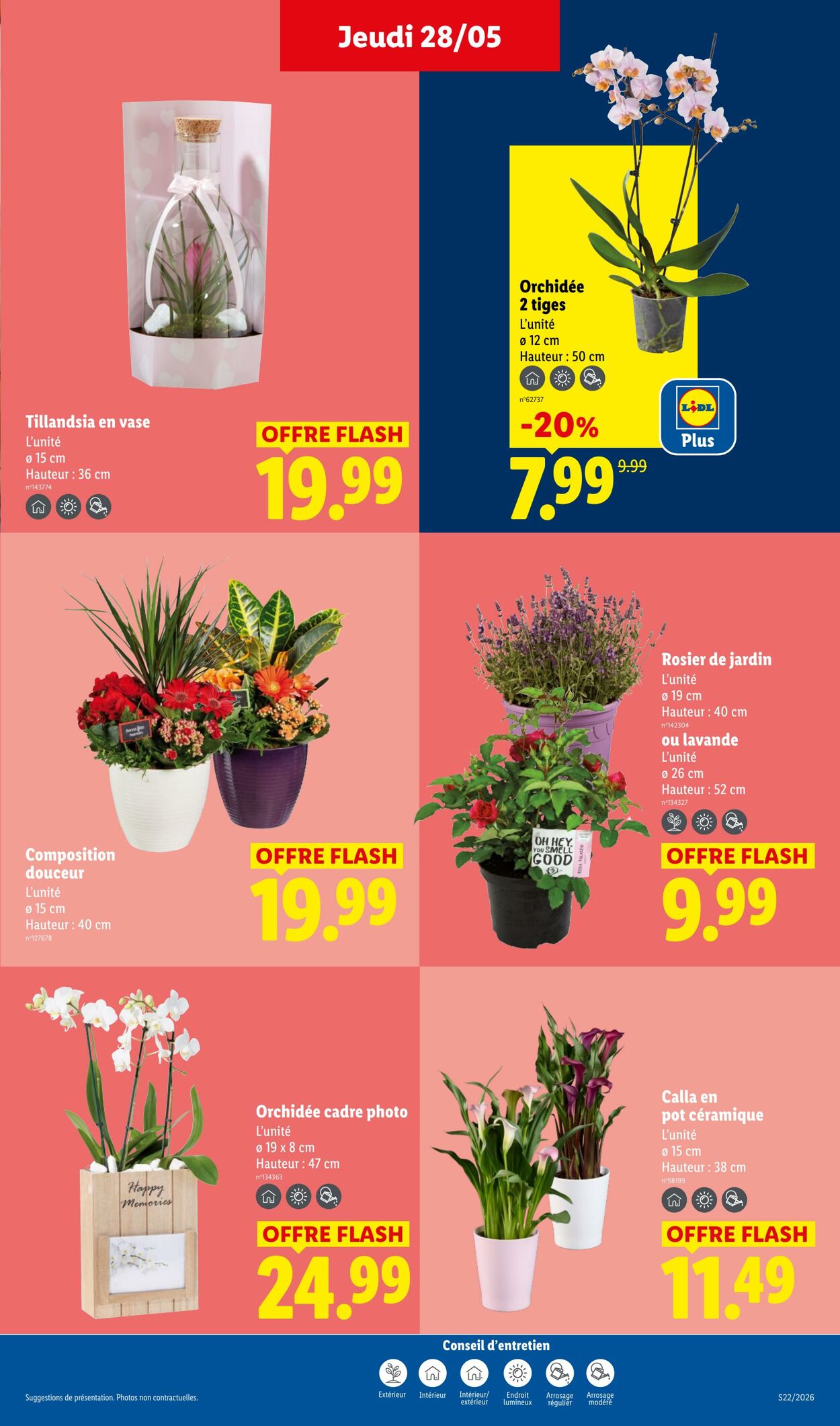 Catalogue Lidl 24.05.2026 - 03.06.2026