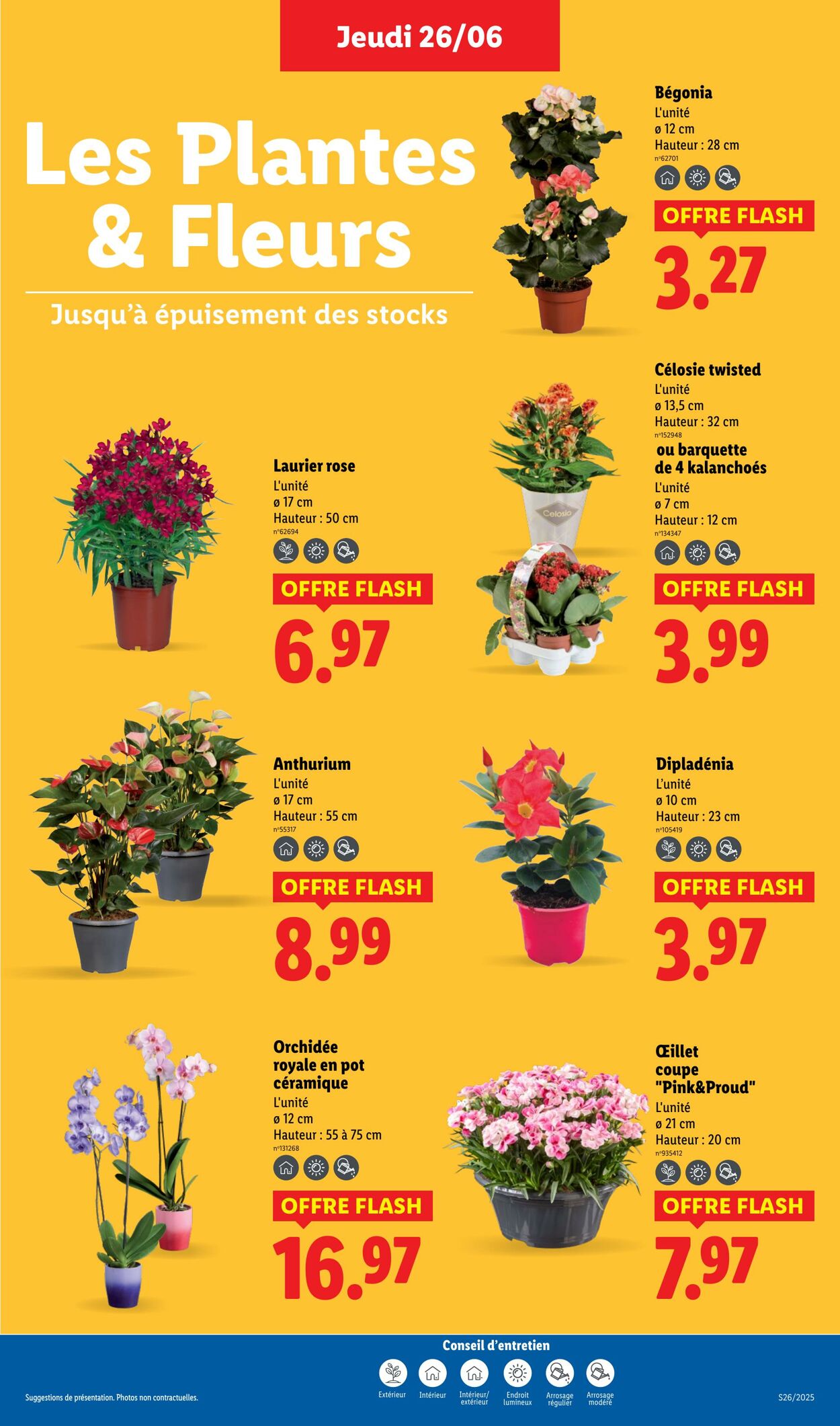 Catalogue Lidl 26.06.2025 - 02.07.2025