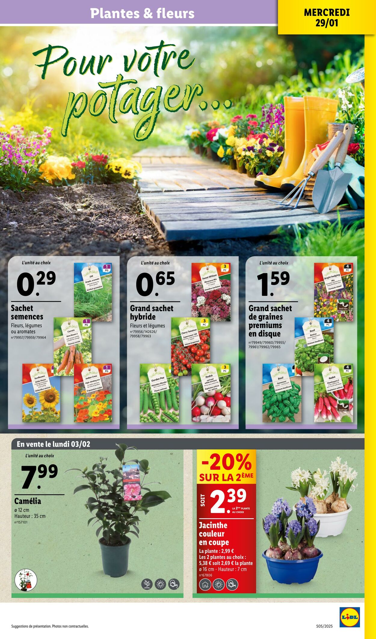 Catalogue Lidl 29.01.2025 - 05.02.2025