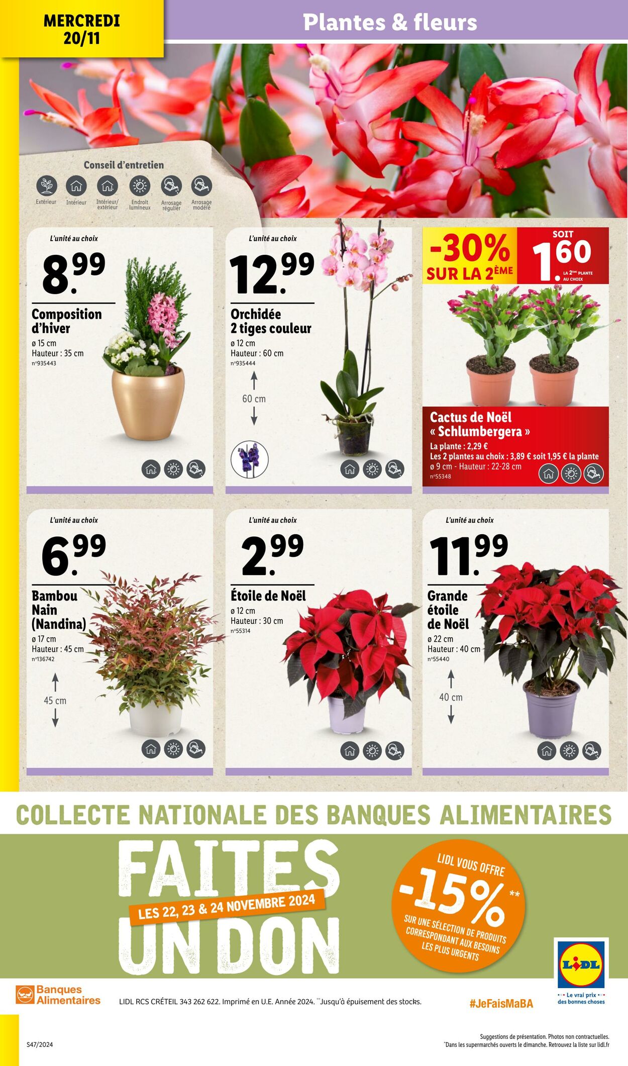 Catalogue Lidl 20.11.2024 - 26.11.2024