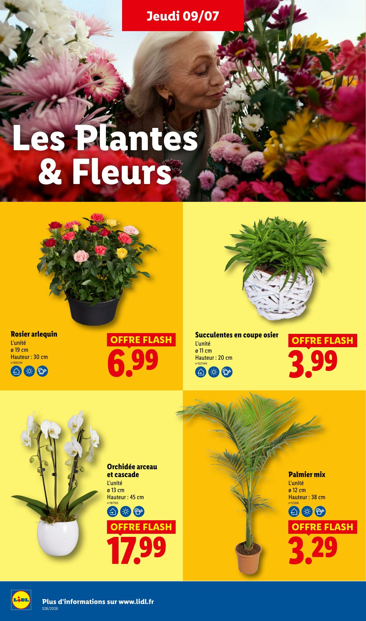 Catalogue Lidl 05.07.2026 - 15.07.2026