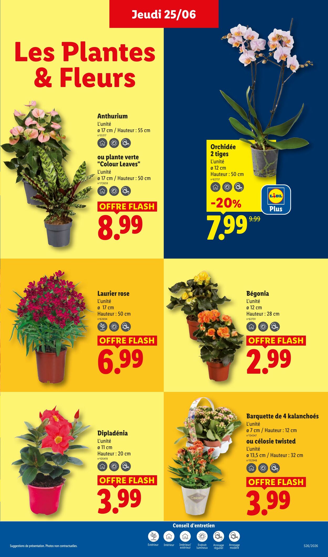 Catalogue Lidl 21.06.2026 - 01.07.2026