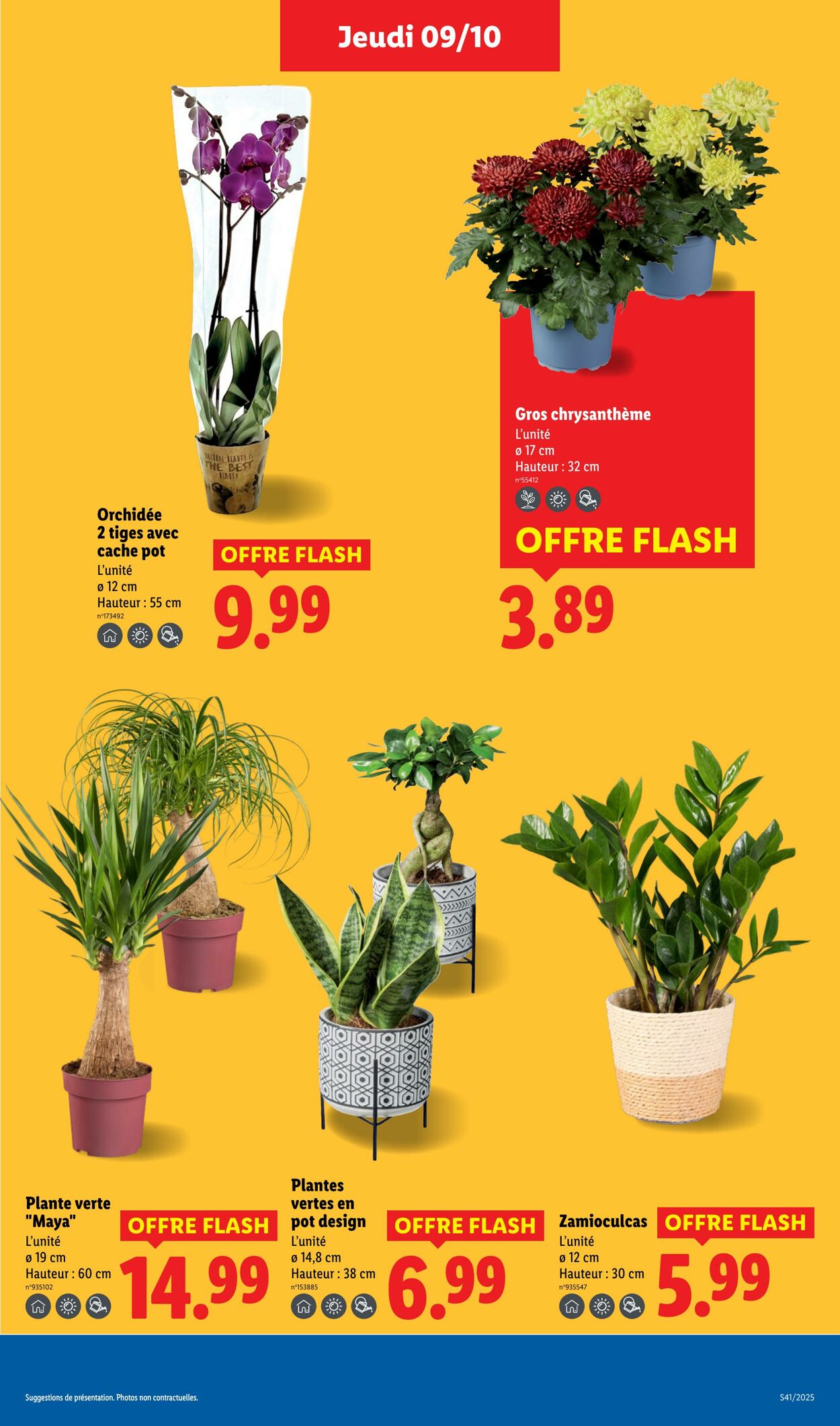 Catalogue Lidl 09.10.2025 - 15.10.2025