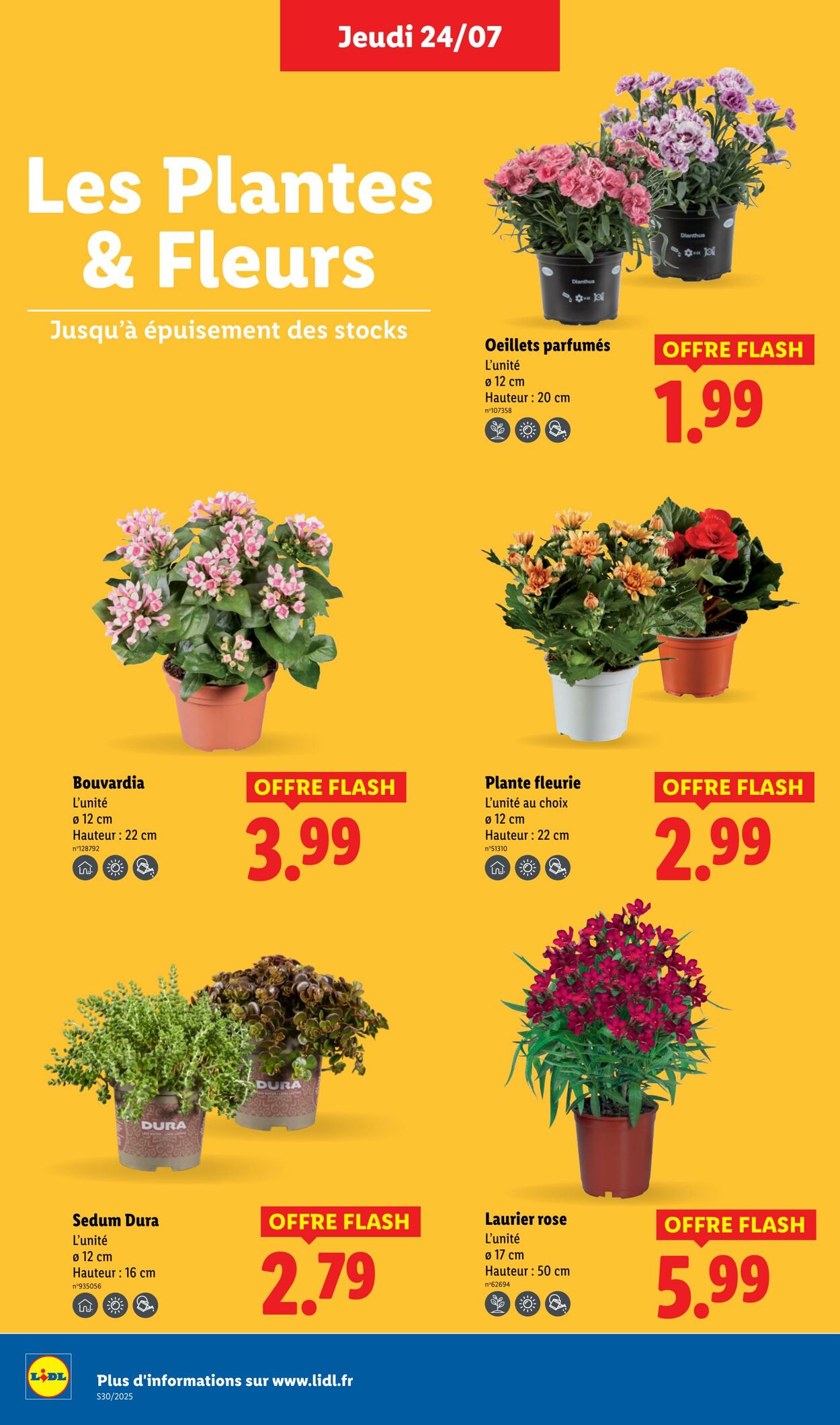 Catalogue Lidl 24.07.2025 - 30.07.2025
