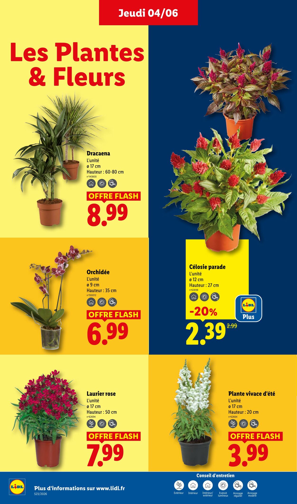 Catalogue Lidl 31.05.2026 - 10.06.2026