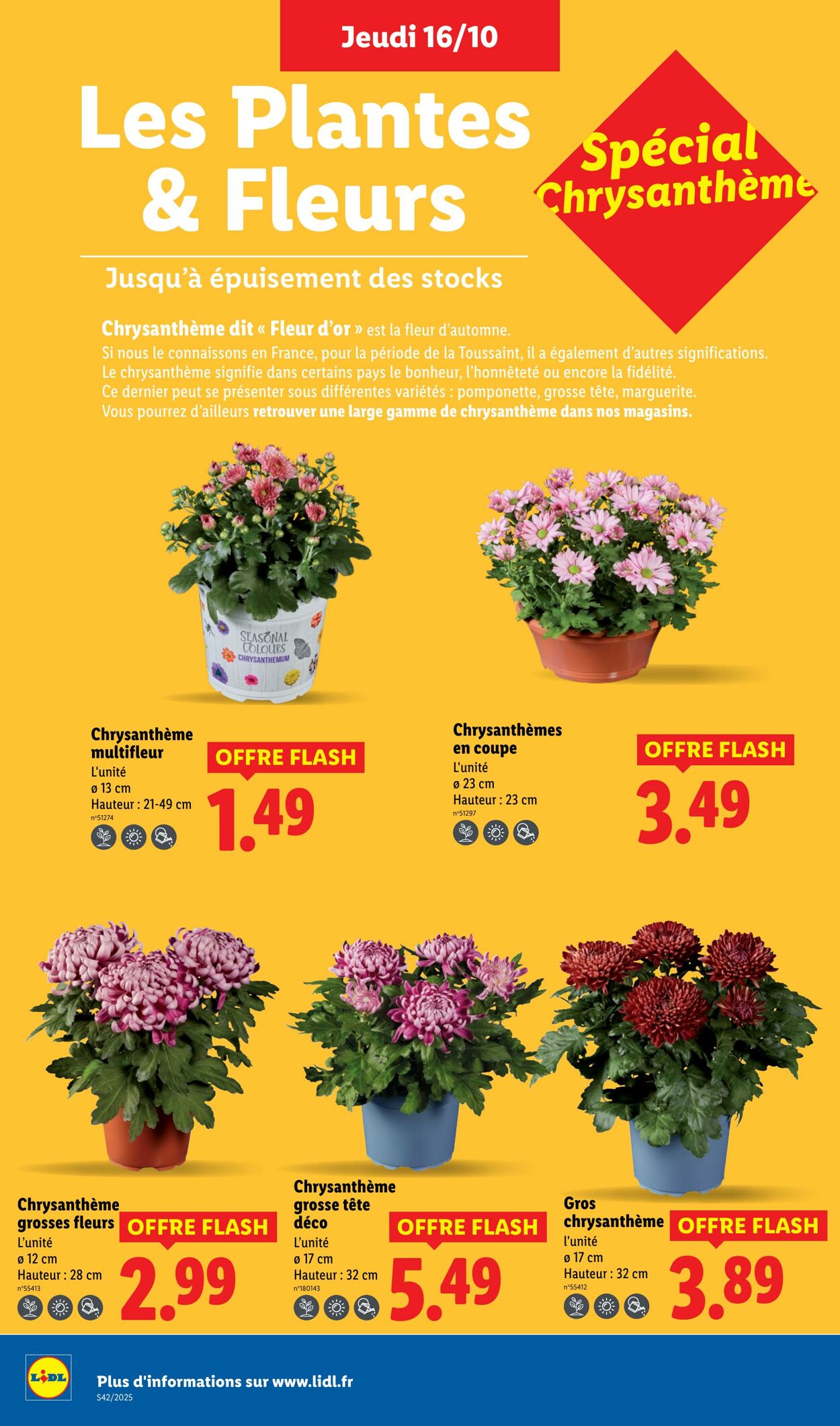 Catalogue Lidl 16.10.2025 - 22.10.2025