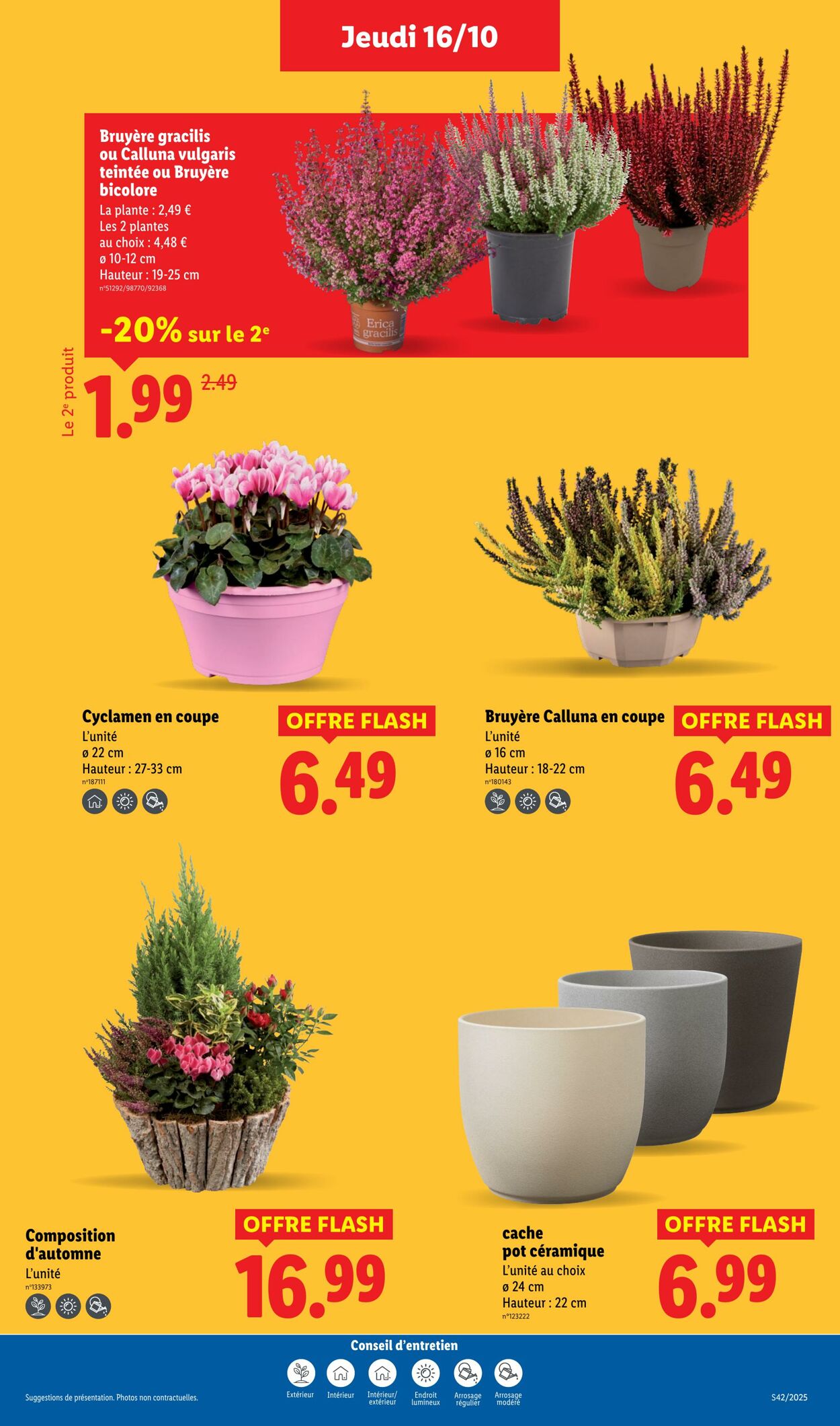 Catalogue Lidl 16.10.2025 - 22.10.2025