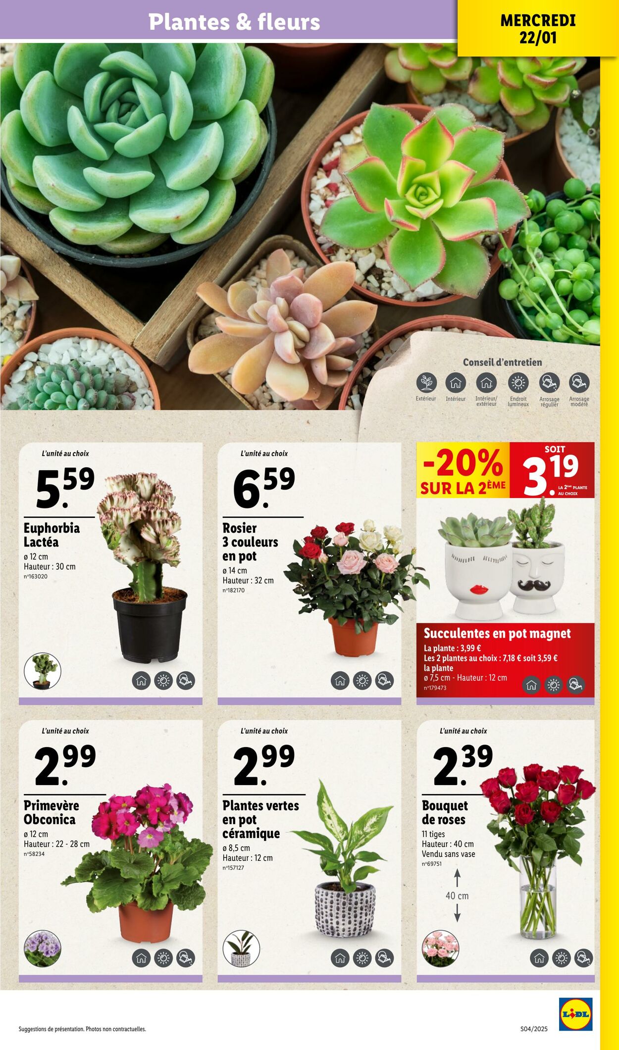 Catalogue Lidl 22.01.2025 - 28.01.2025