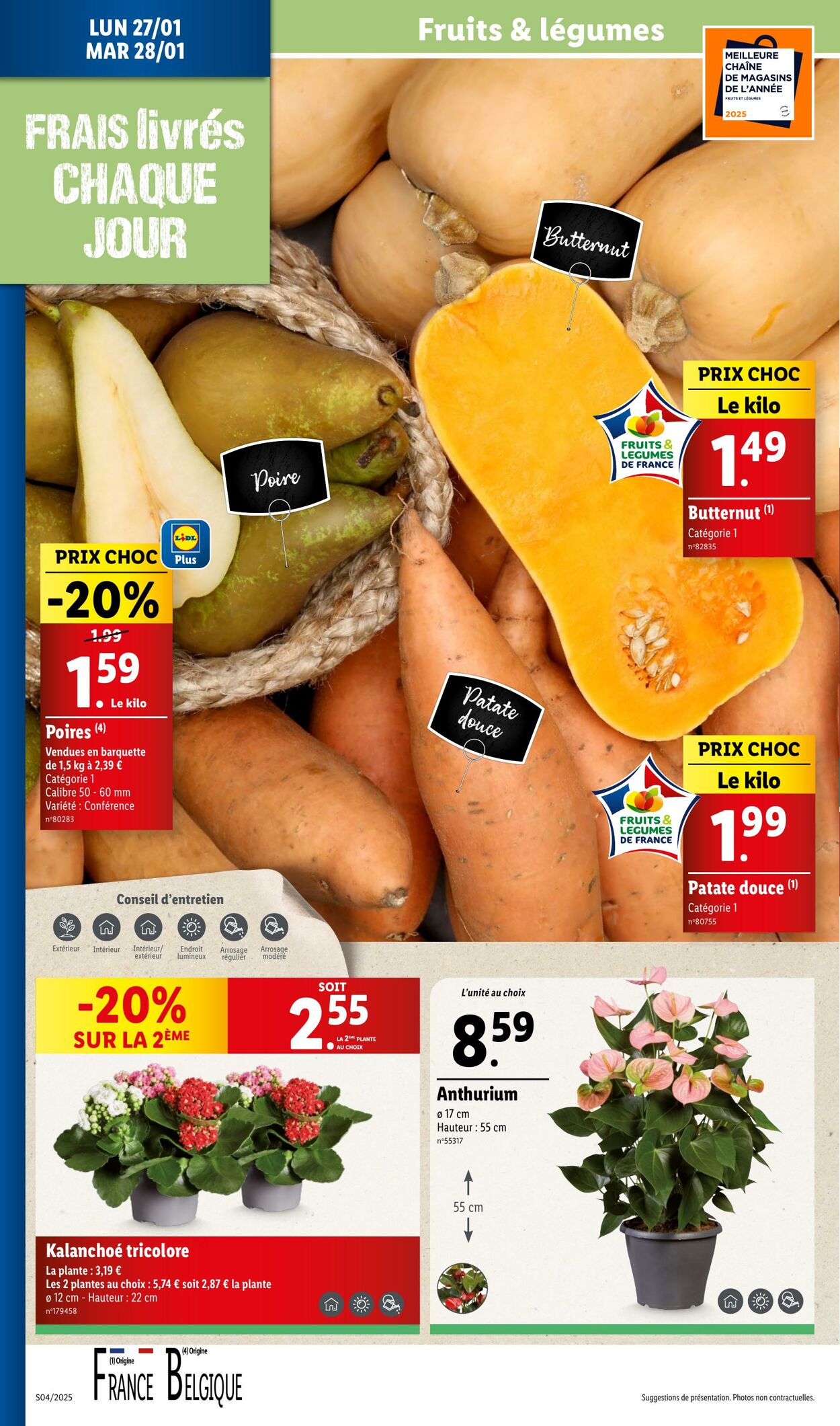 Catalogue Lidl 22.01.2025 - 28.01.2025