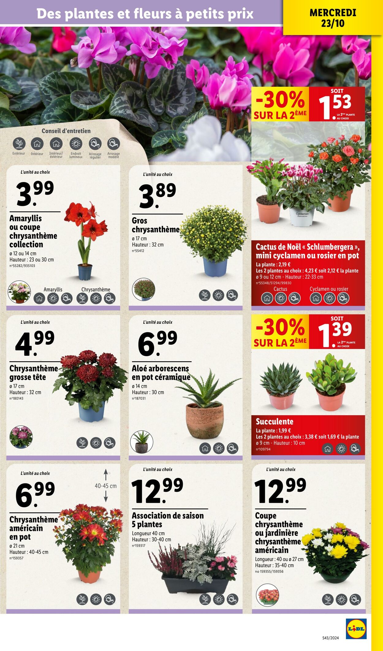 Catalogue Lidl 23.10.2024 - 29.10.2024