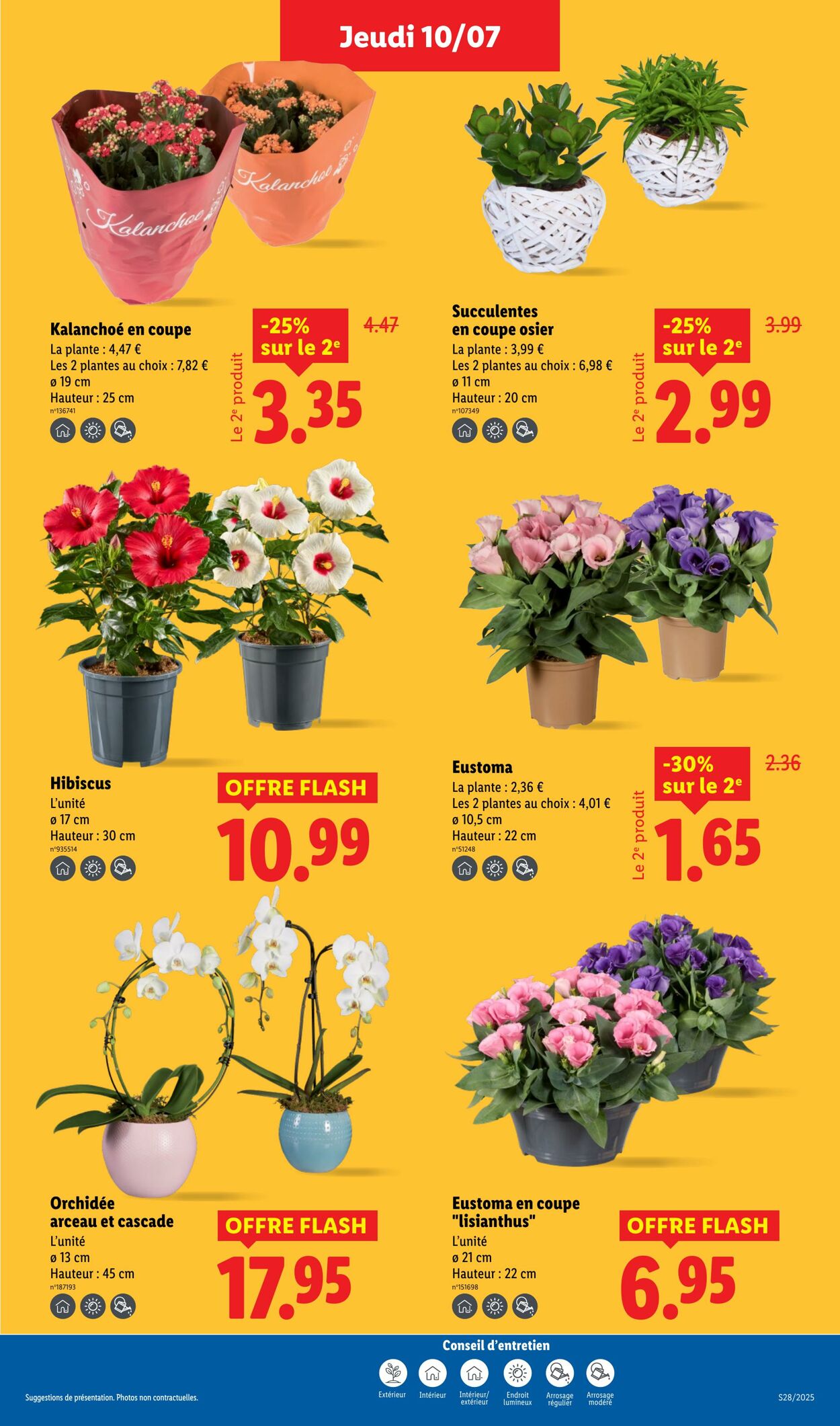 Catalogue Lidl 10.07.2025 - 16.07.2025