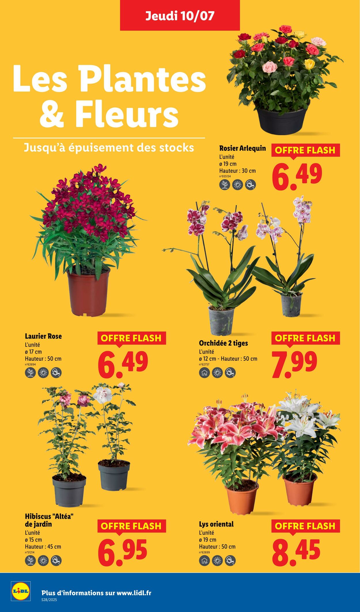 Catalogue Lidl 10.07.2025 - 16.07.2025