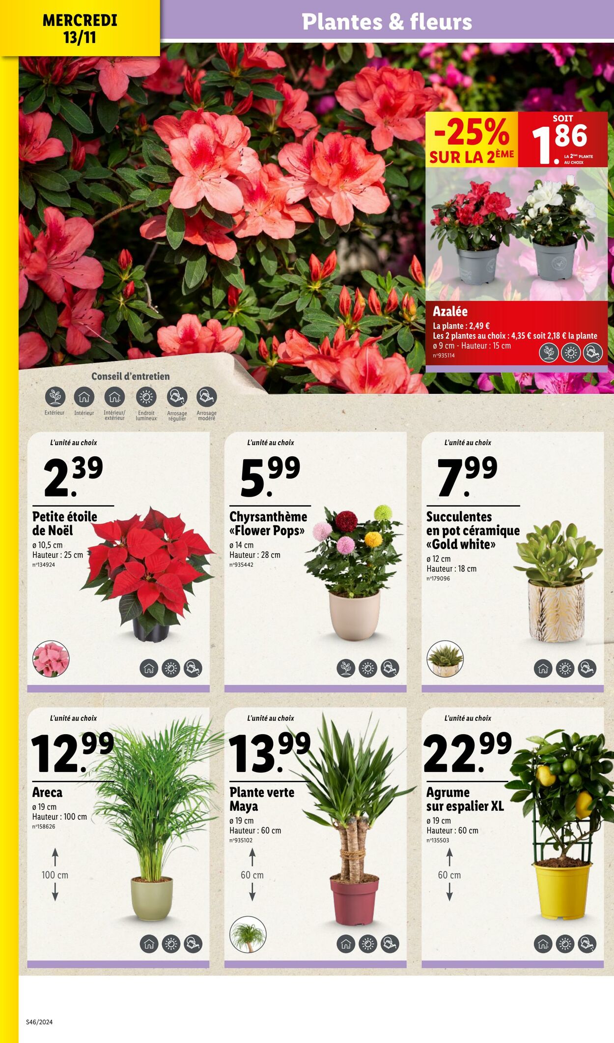 Catalogue Lidl 13.11.2024 - 19.11.2024