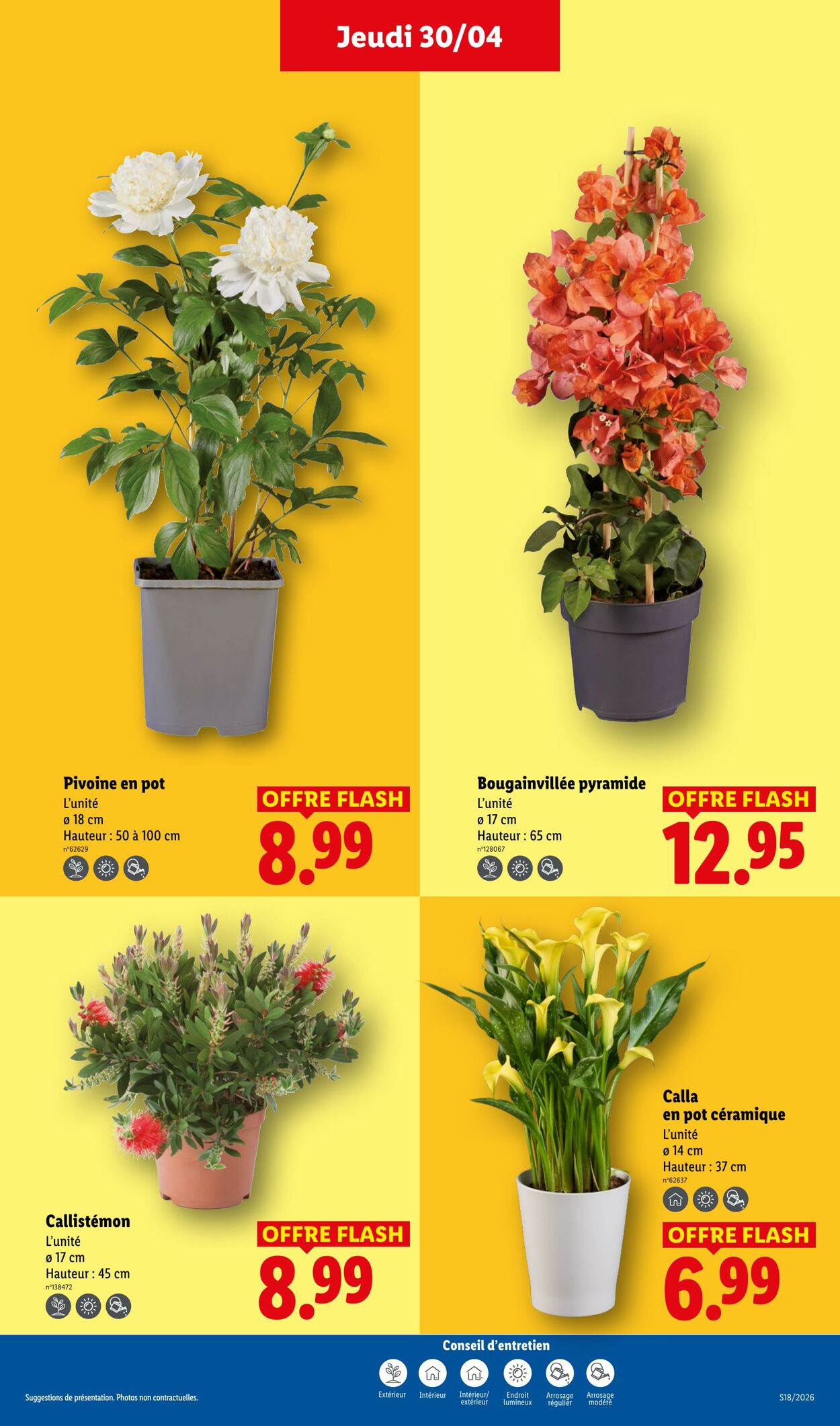 Catalogue Lidl 26.04.2026 - 06.05.2026