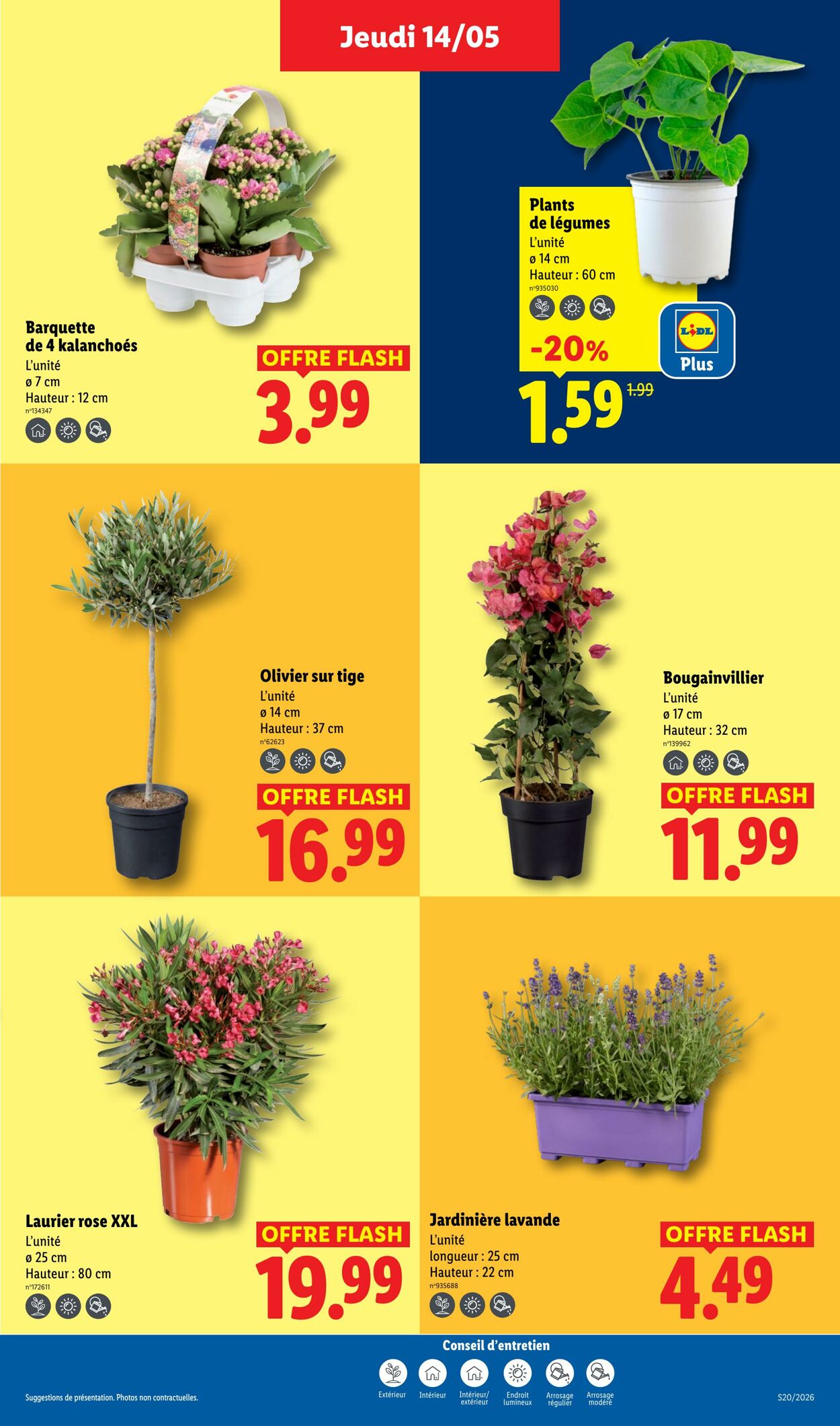 Catalogue Lidl 10.05.2026 - 20.05.2026