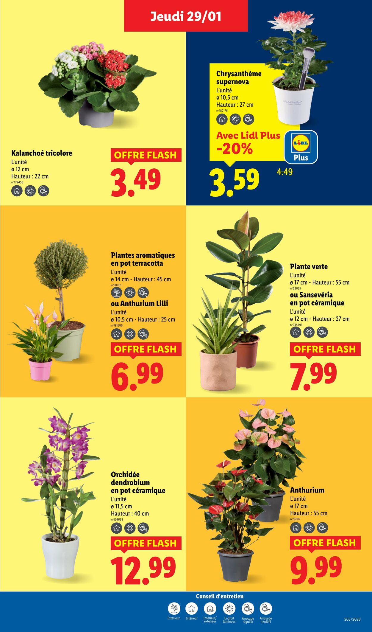 Catalogue Lidl 25.01.2026 - 04.02.2026