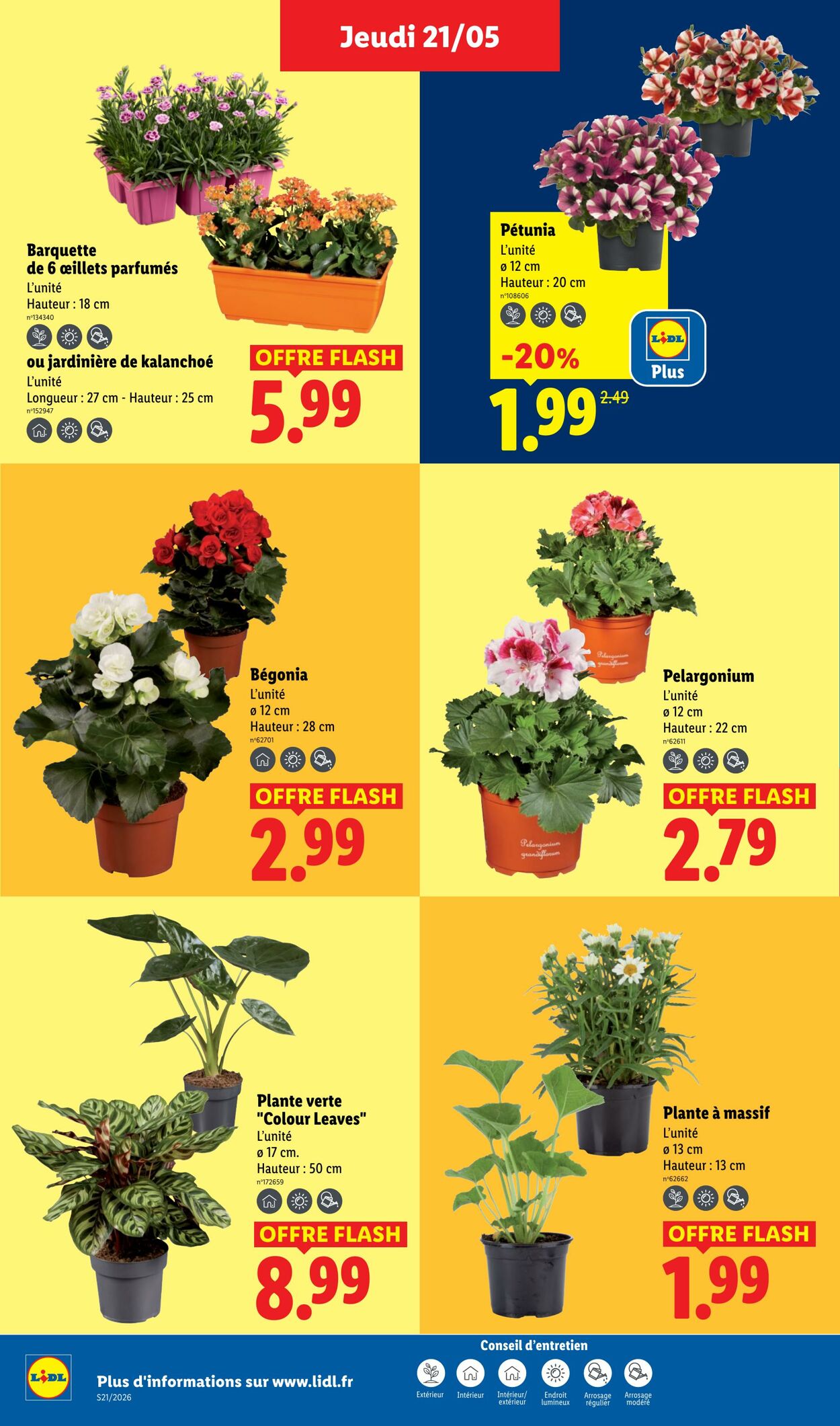 Catalogue Lidl 17.05.2026 - 27.05.2026