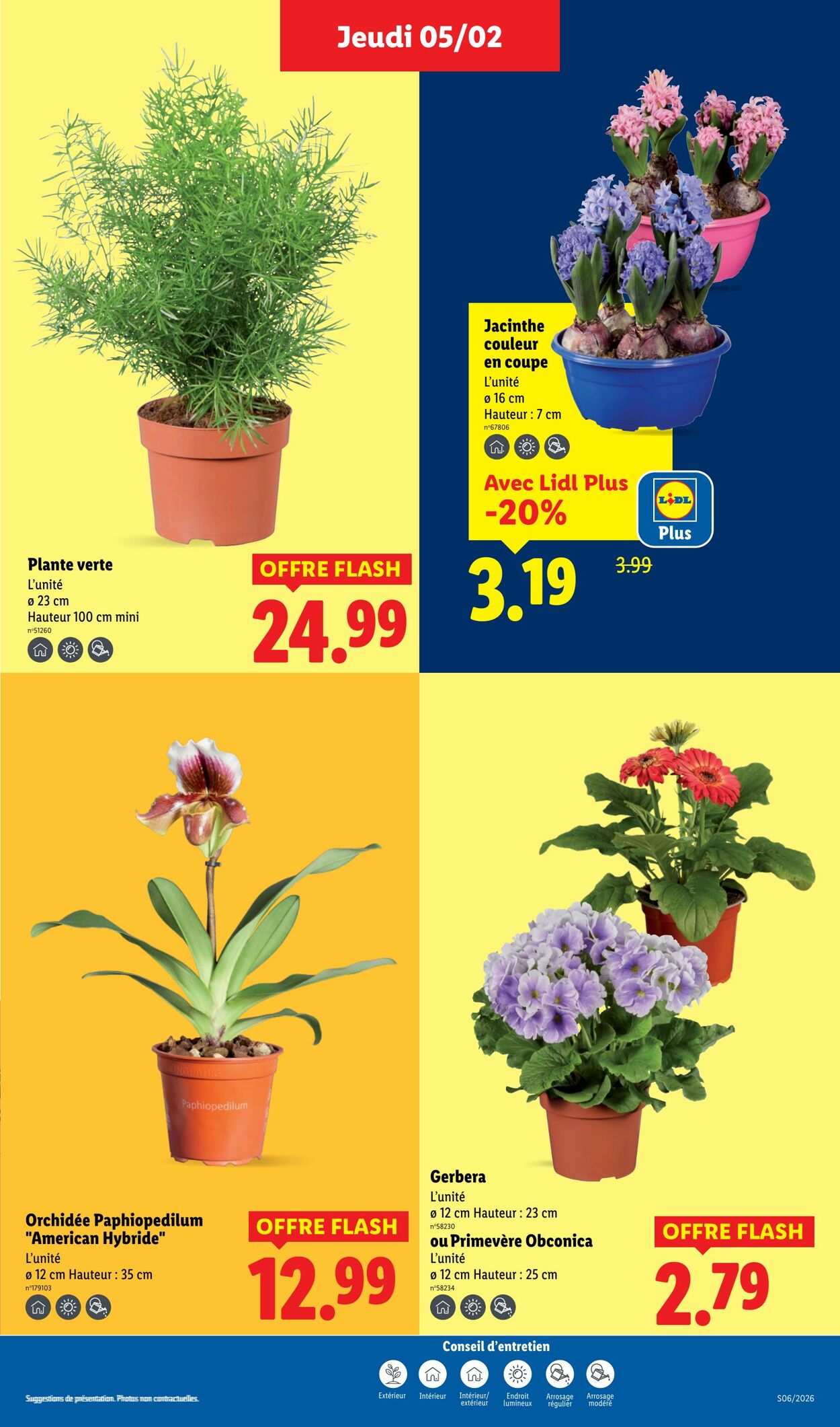 Catalogue Lidl 01.02.2026 - 11.02.2026
